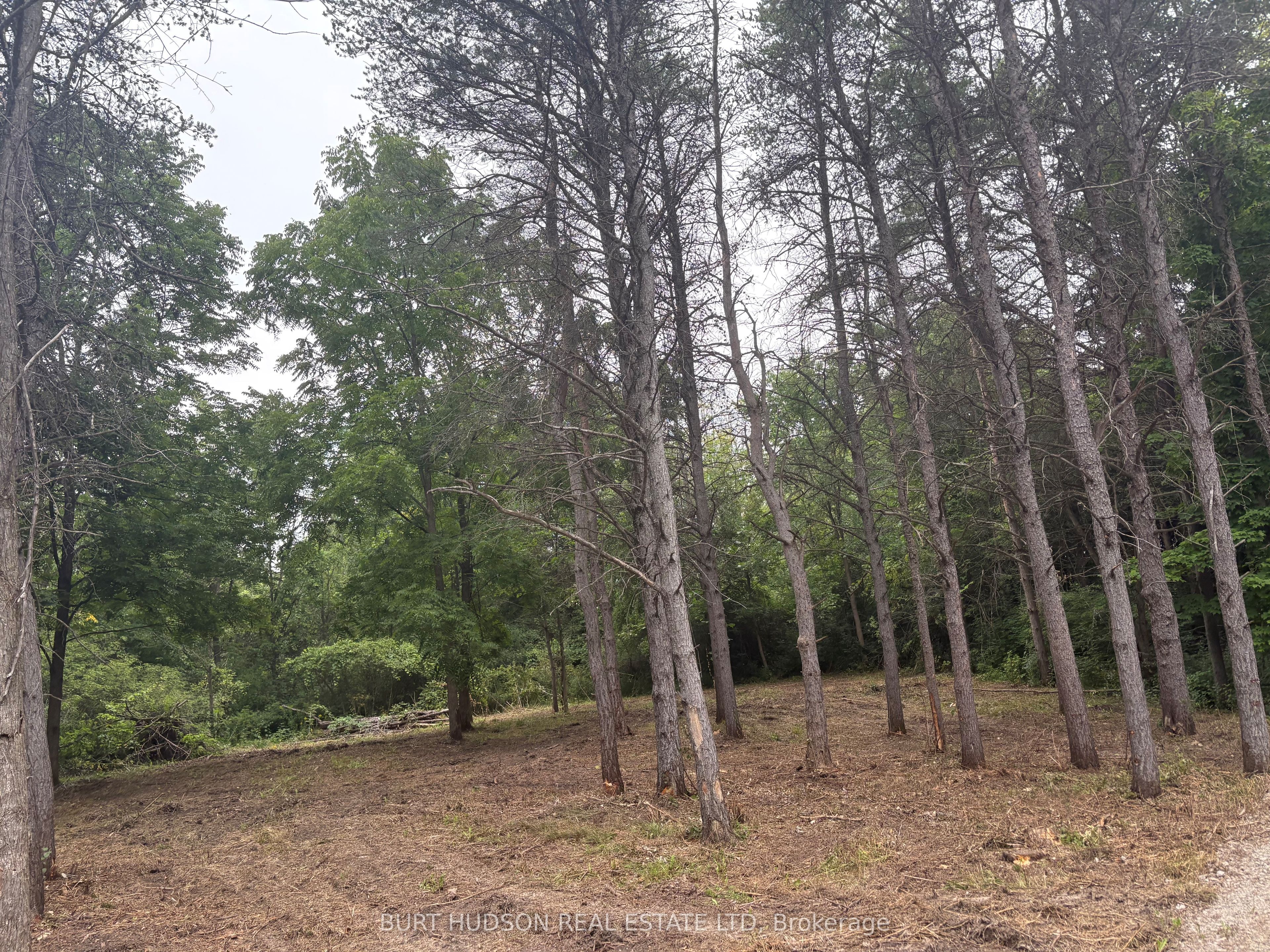 00 Mother Barnes Road, Elizabethtown-Kitley, ON K0E 1A0 photo 4