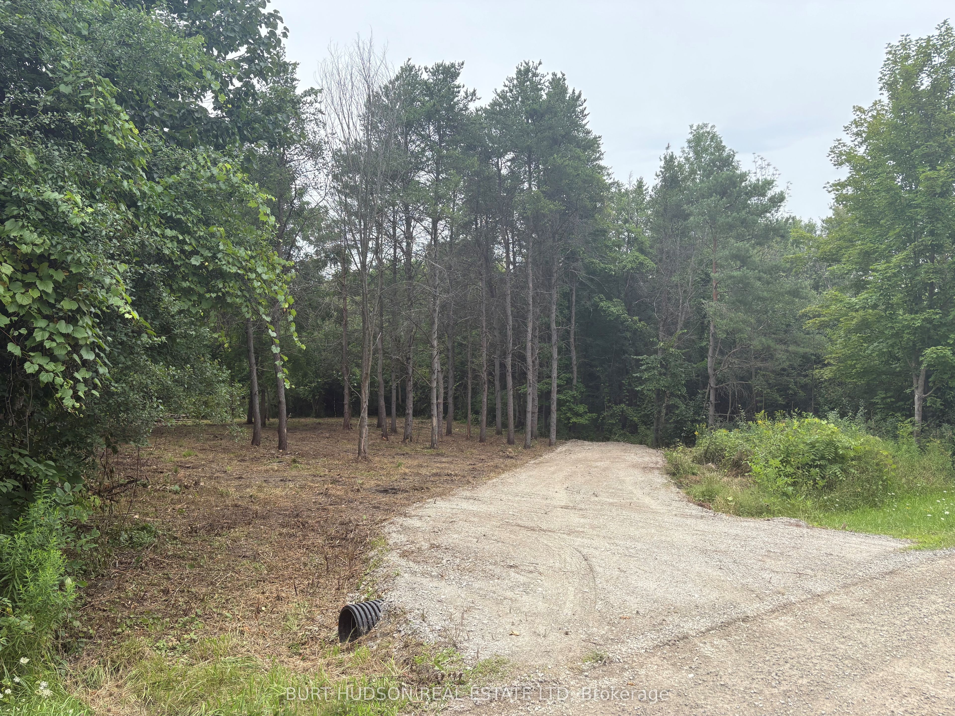 00 Mother Barnes Road, Elizabethtown-Kitley, ON K0E 1A0 photo 5