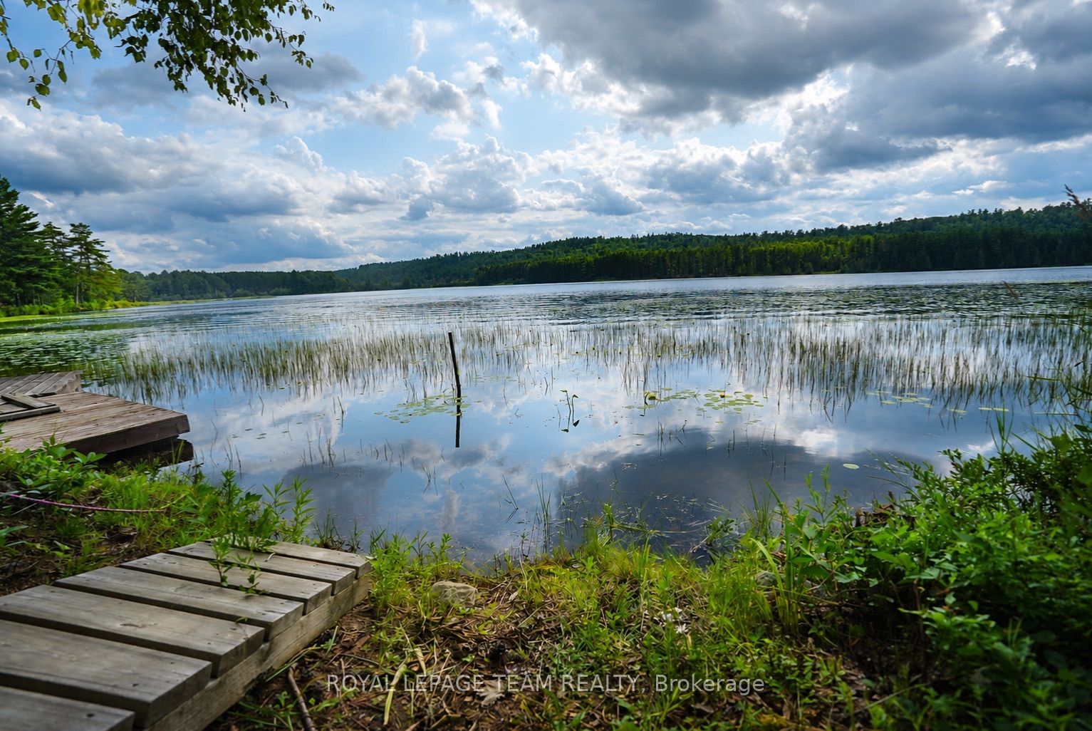 153 Basin Depot Road, Madawaska Valley, ON K0J 1B0 photo 2