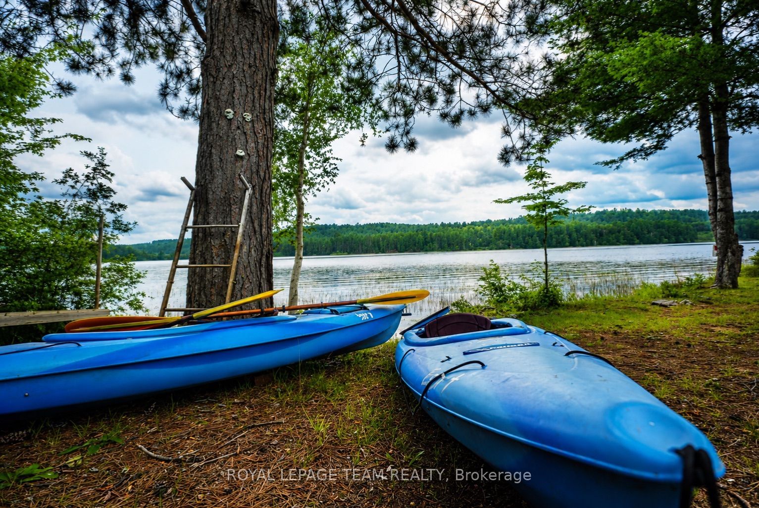 153 Basin Depot Road, Madawaska Valley, ON K0J 1B0 photo 3