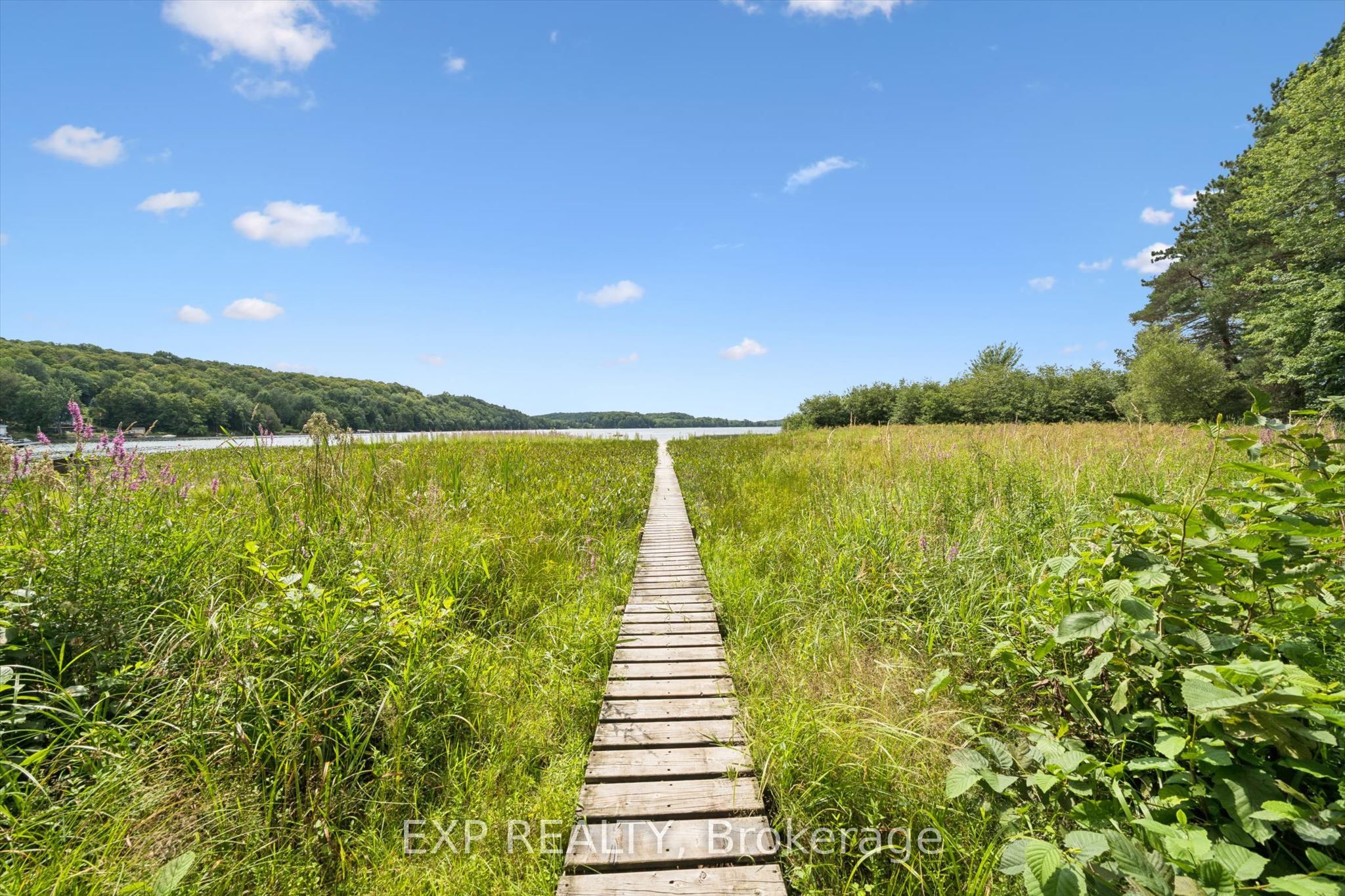 1039 Wonder Beach Road, Muskoka Lakes, ON P0B 1M0 photo 3