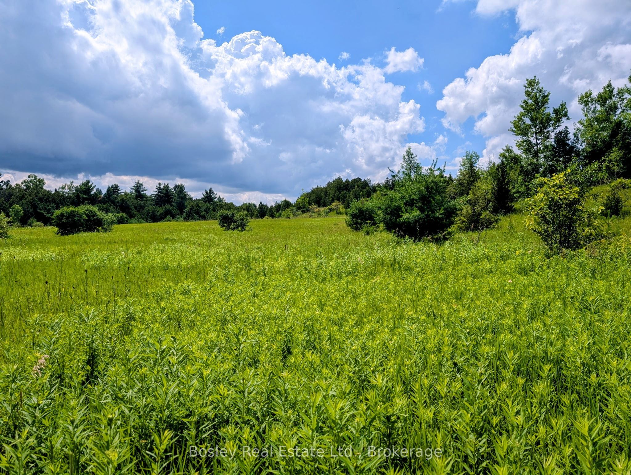4350 Watson Road S, Puslinch, ON N0B 2J0
