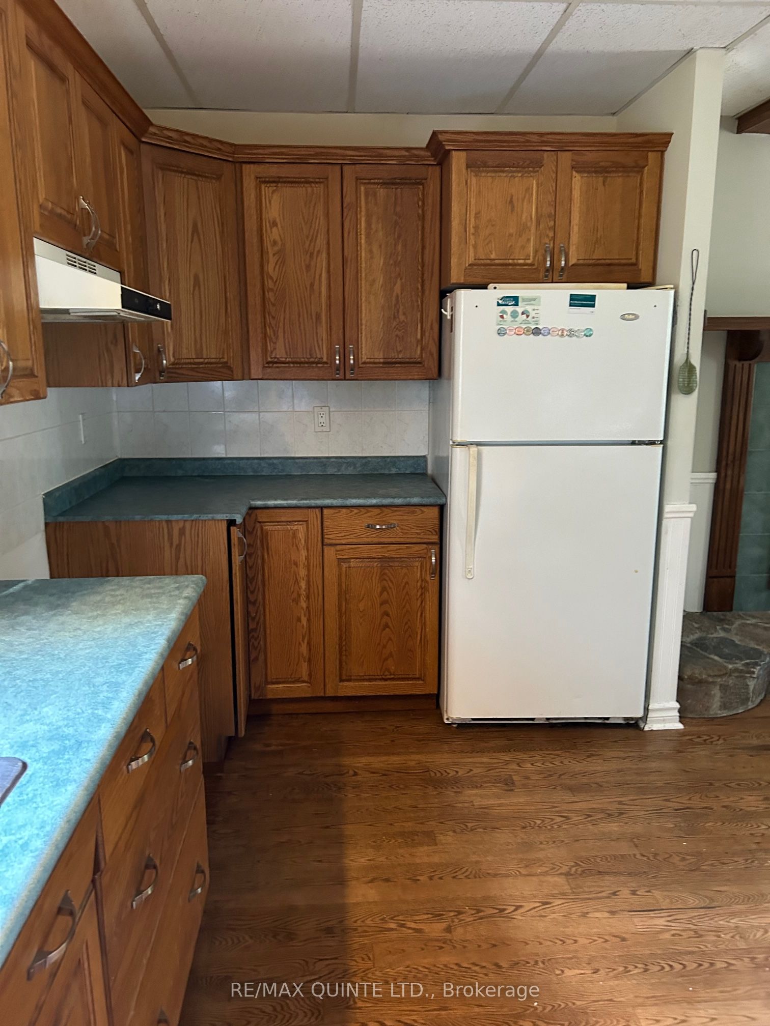 979 County Road 30 APT A, Brighton, ON K0K 1H0 photo 5