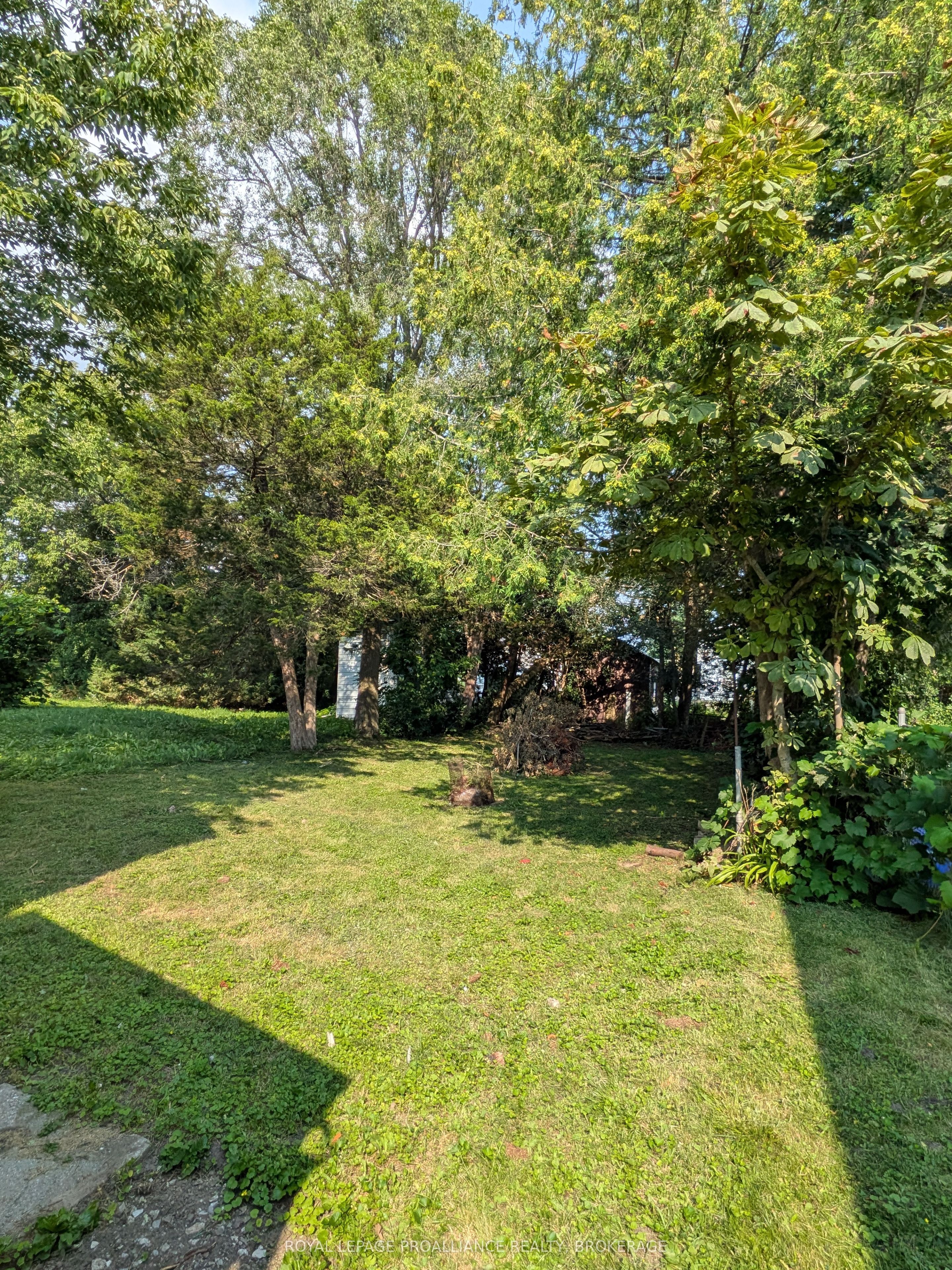 43 Portsmouth Avenue, Kingston, ON K7M 1V3 photo 2