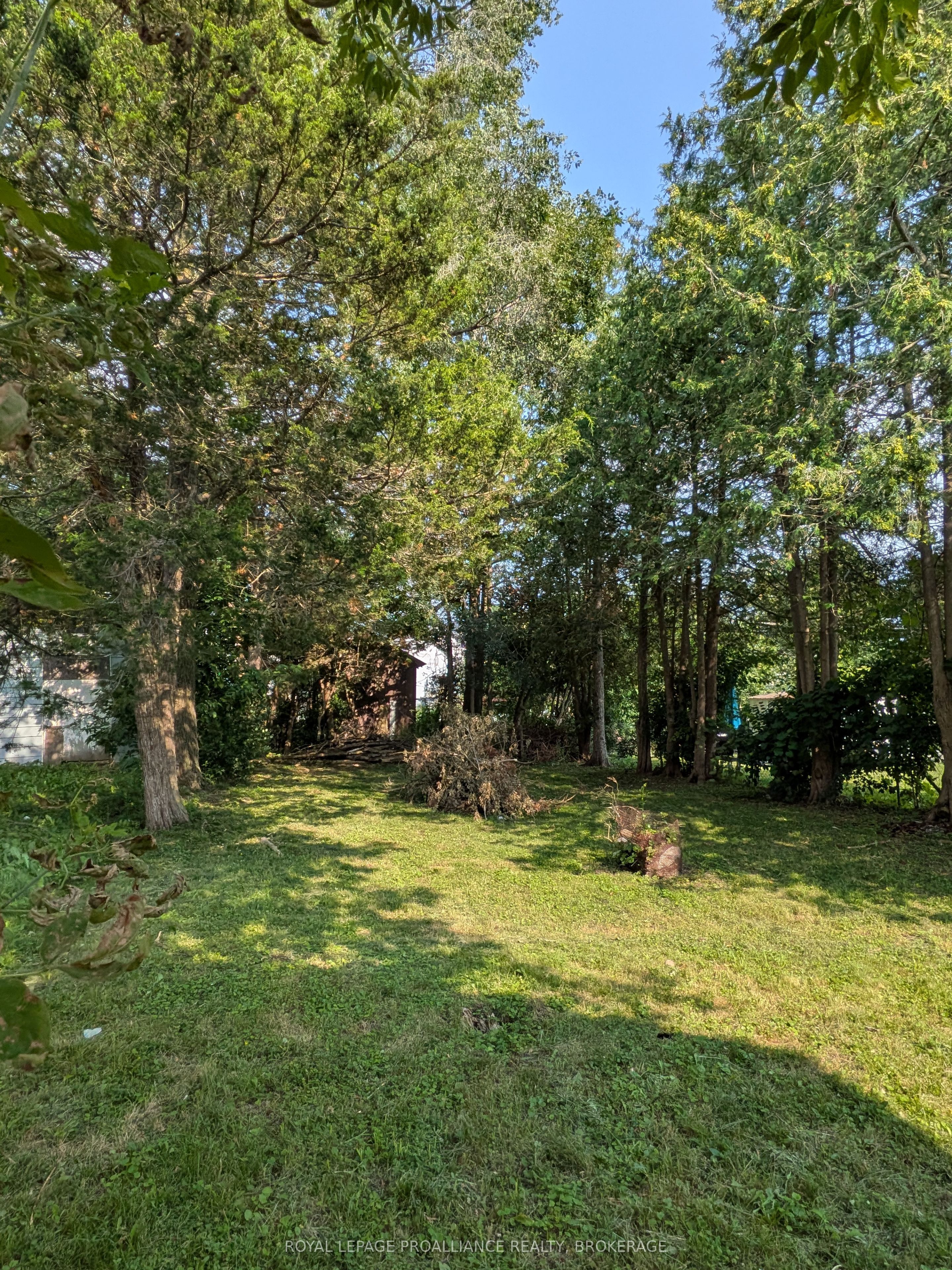 43 Portsmouth Avenue, Kingston, ON K7M 1V3 photo 3