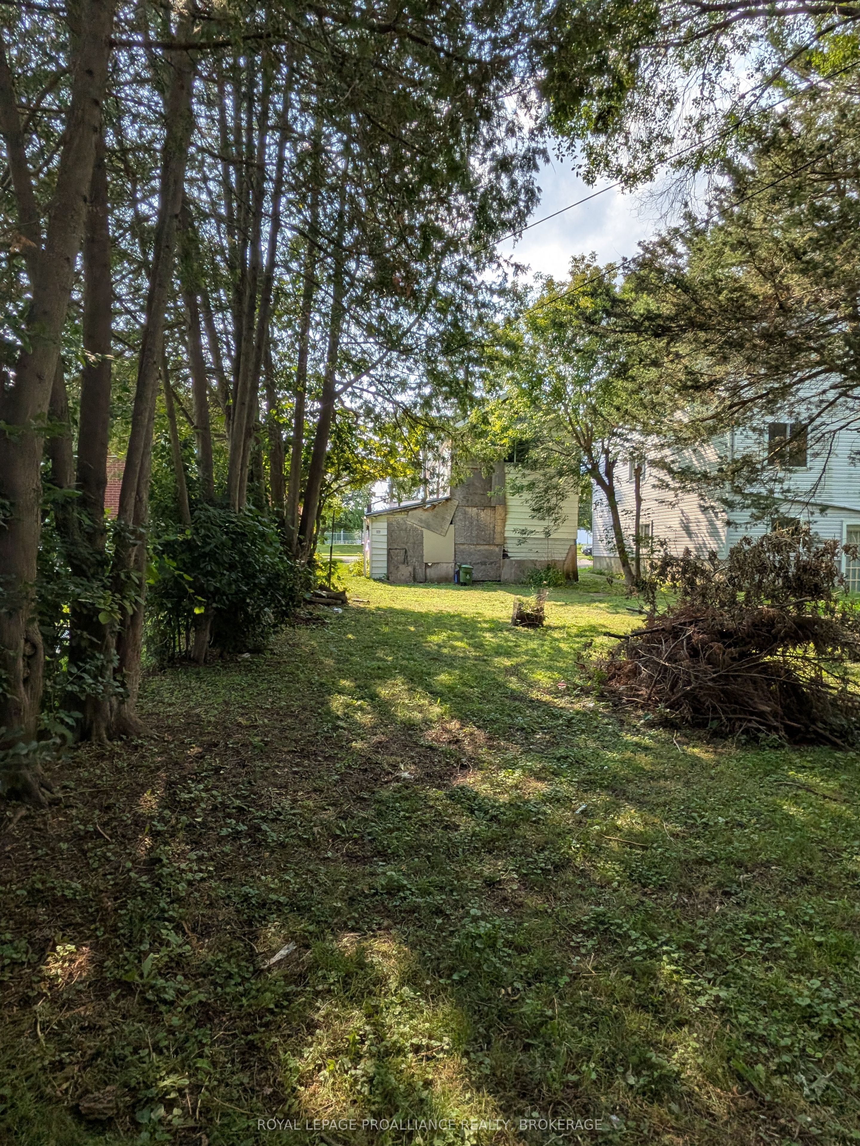 43 Portsmouth Avenue, Kingston, ON K7M 1V3 photo 5