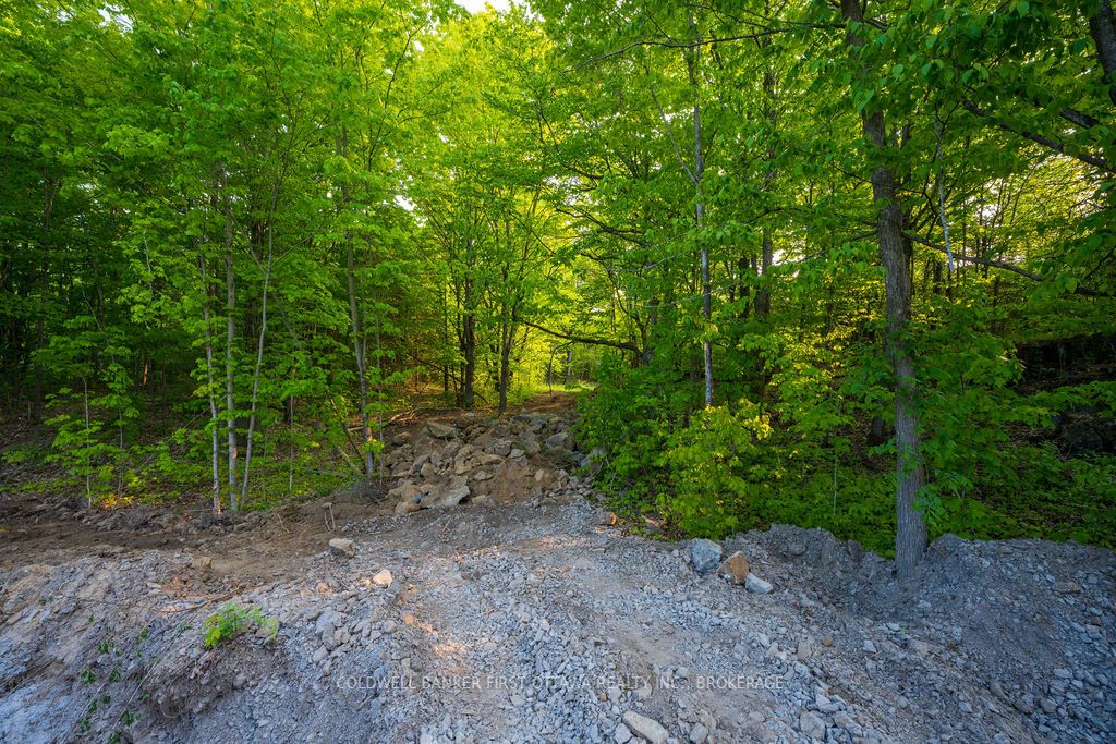 Lot 12 Hinterland Lane, Frontenac, ON K0H 2L0 photo 3