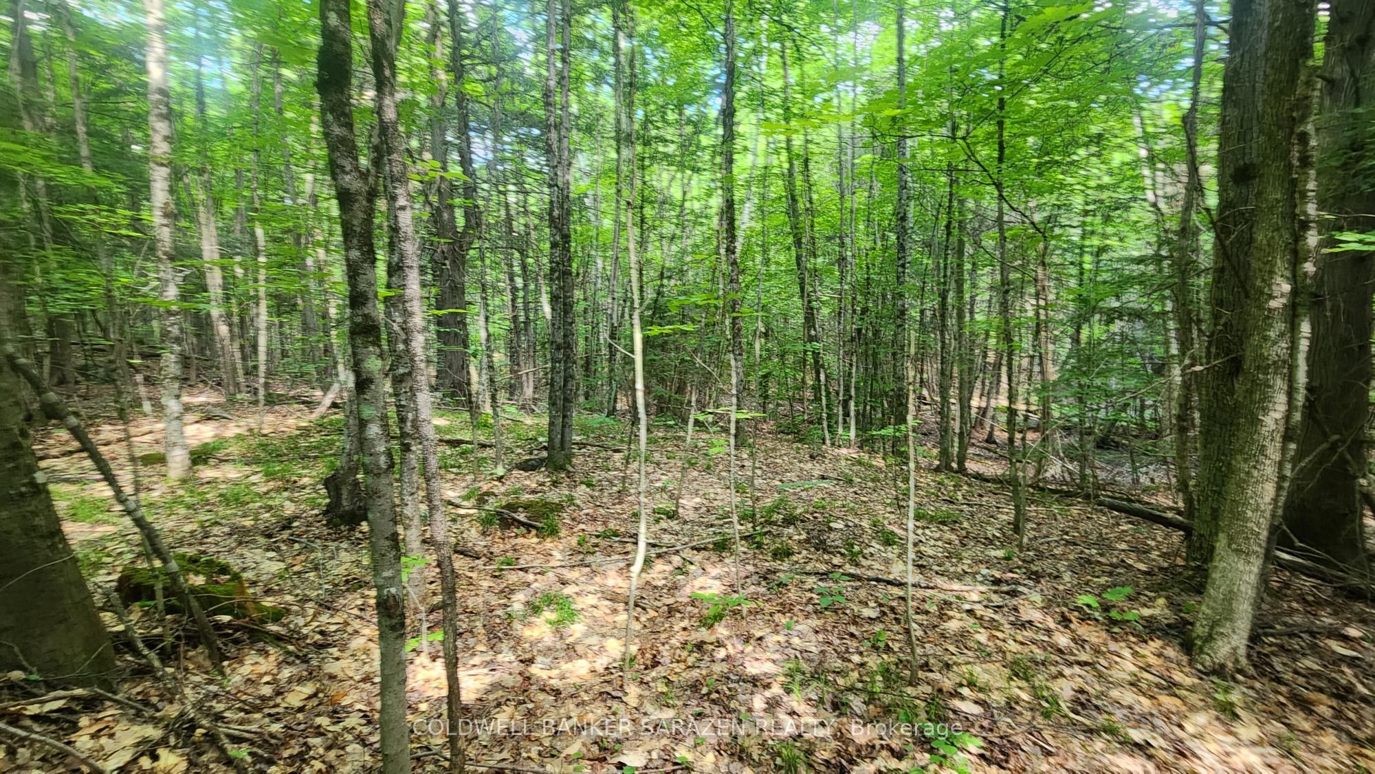 00 Canaan Road, McNab/Braeside, ON K7V 3Z4