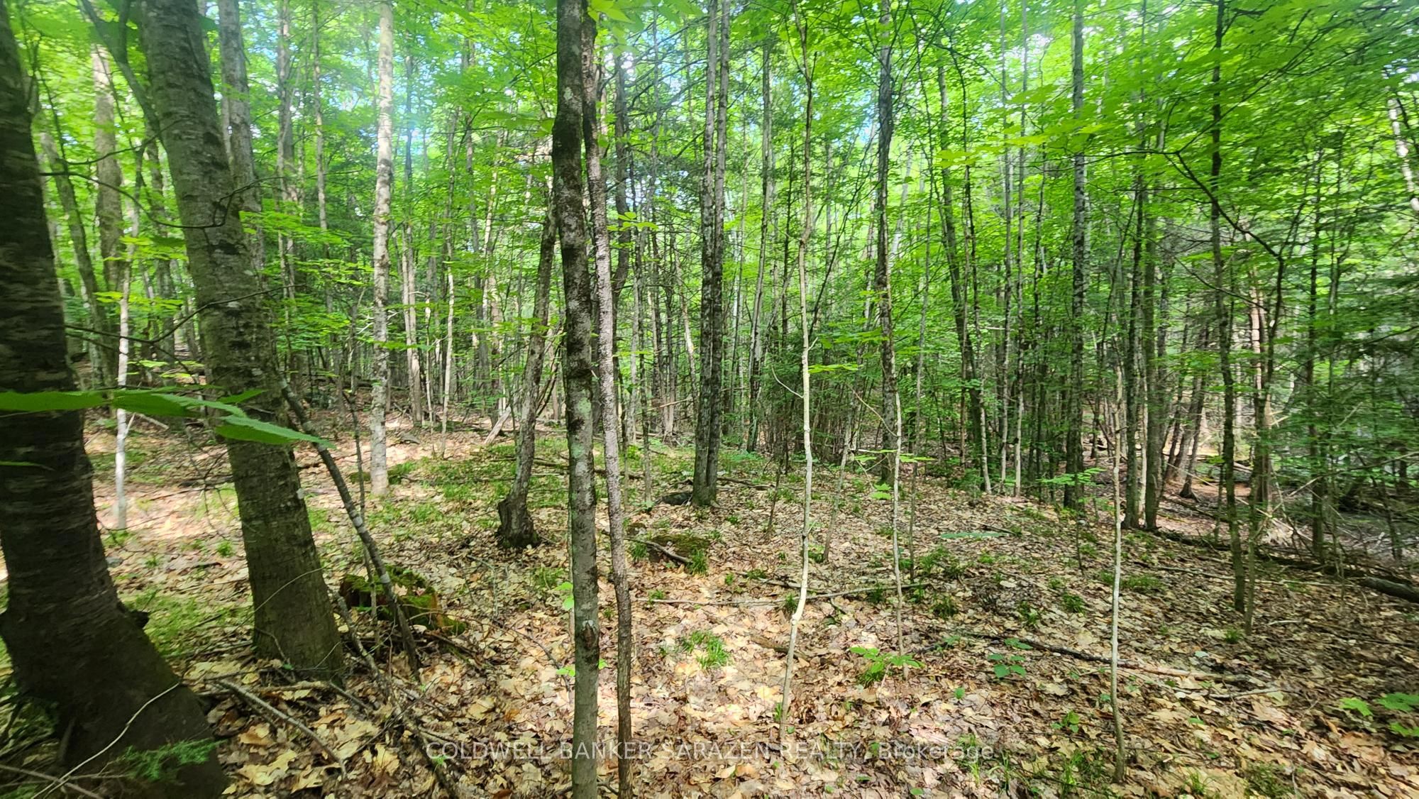 00 Canaan Road, McNab/Braeside, ON K7V 3Z4 photo 2