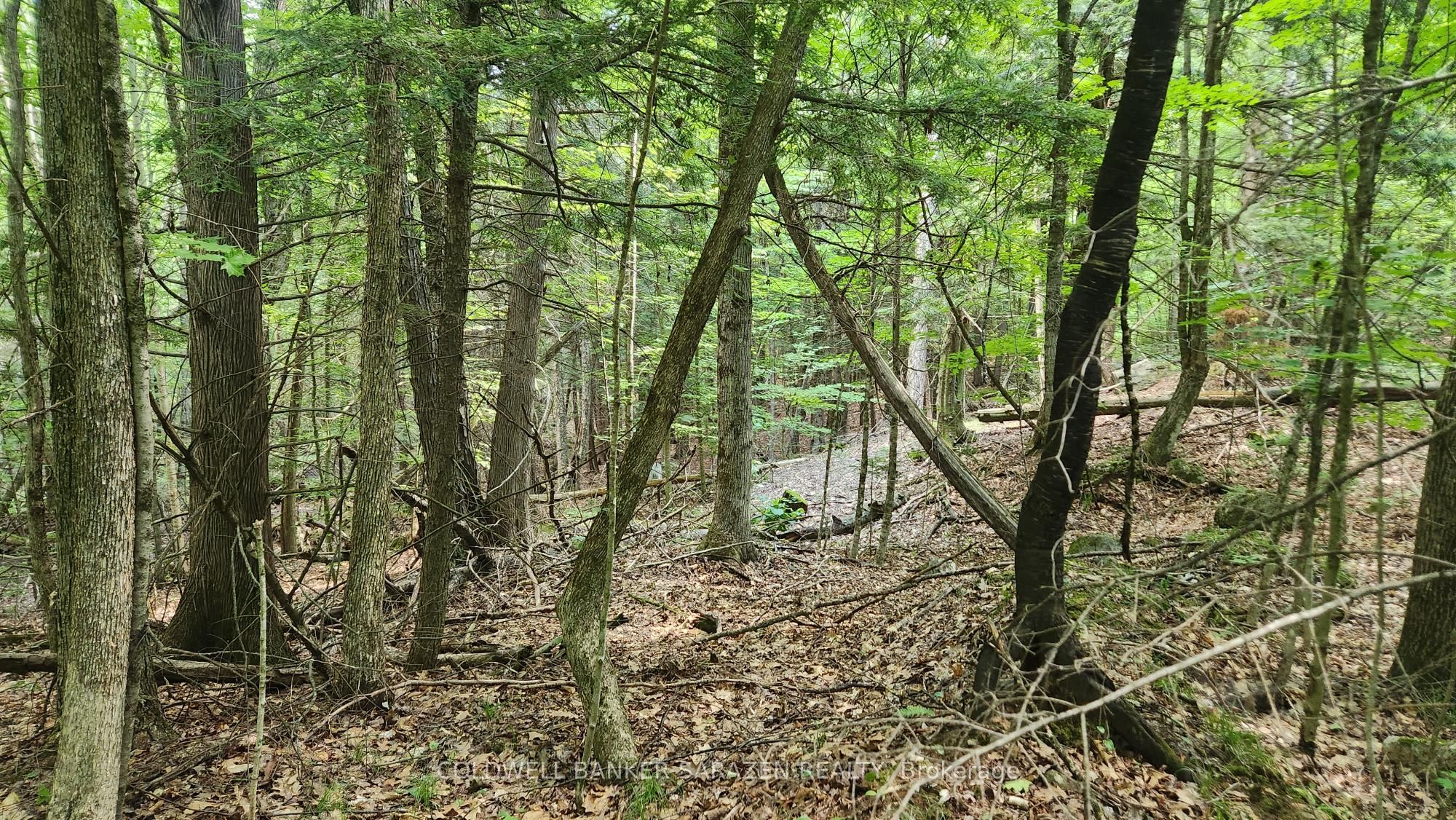 00 Canaan Road, McNab/Braeside, ON K7V 3Z4 photo 3