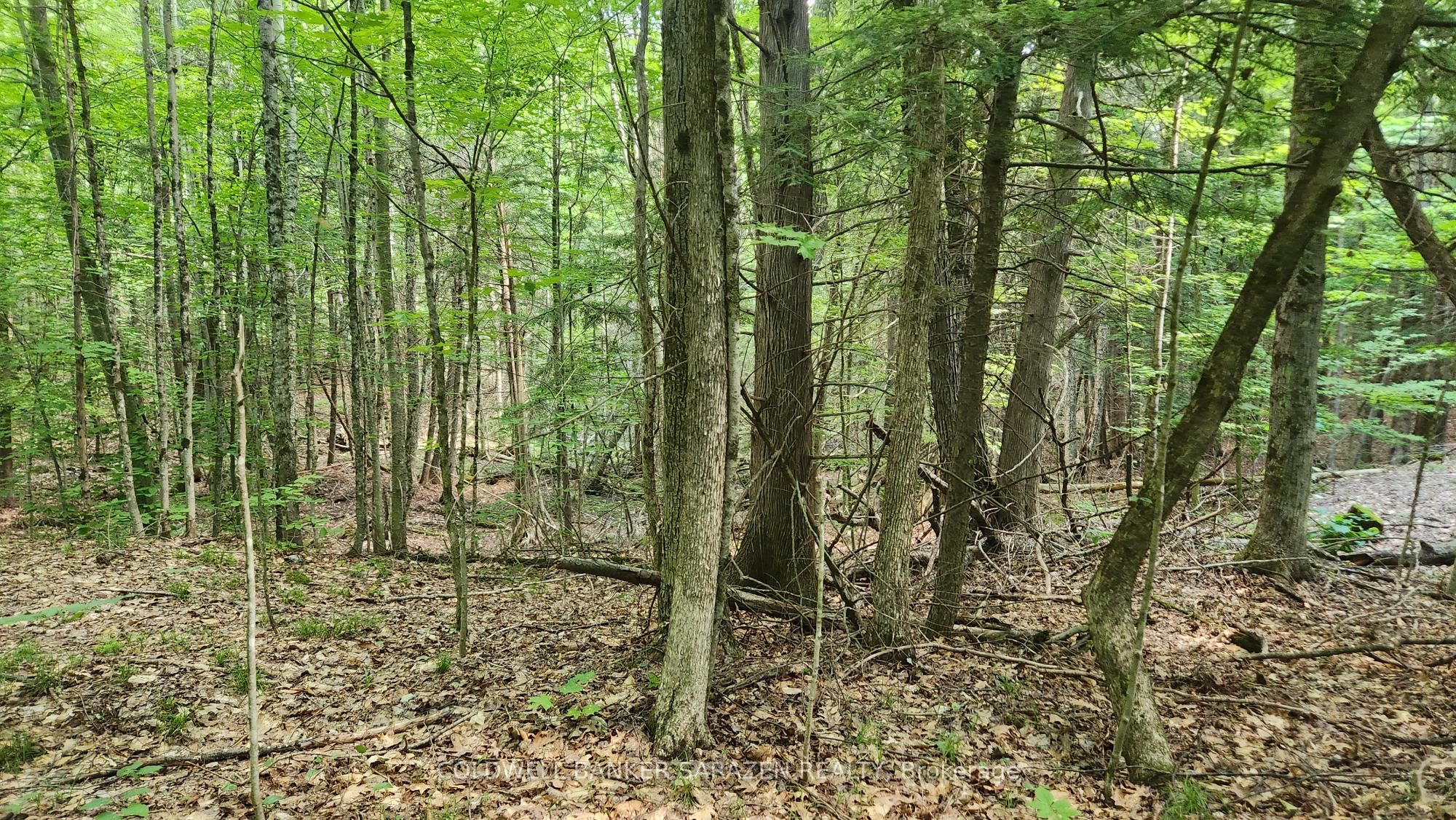 00 Canaan Road, McNab/Braeside, ON K7V 3Z4 photo 4