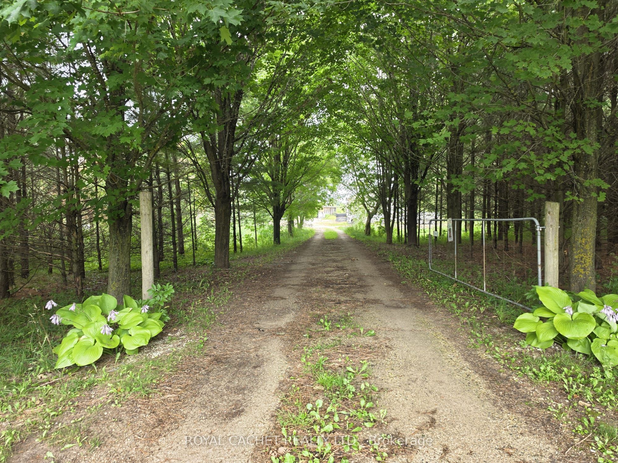 111447 GREY COUNTY RD 14 Road, Southgate, ON N0G 1N0