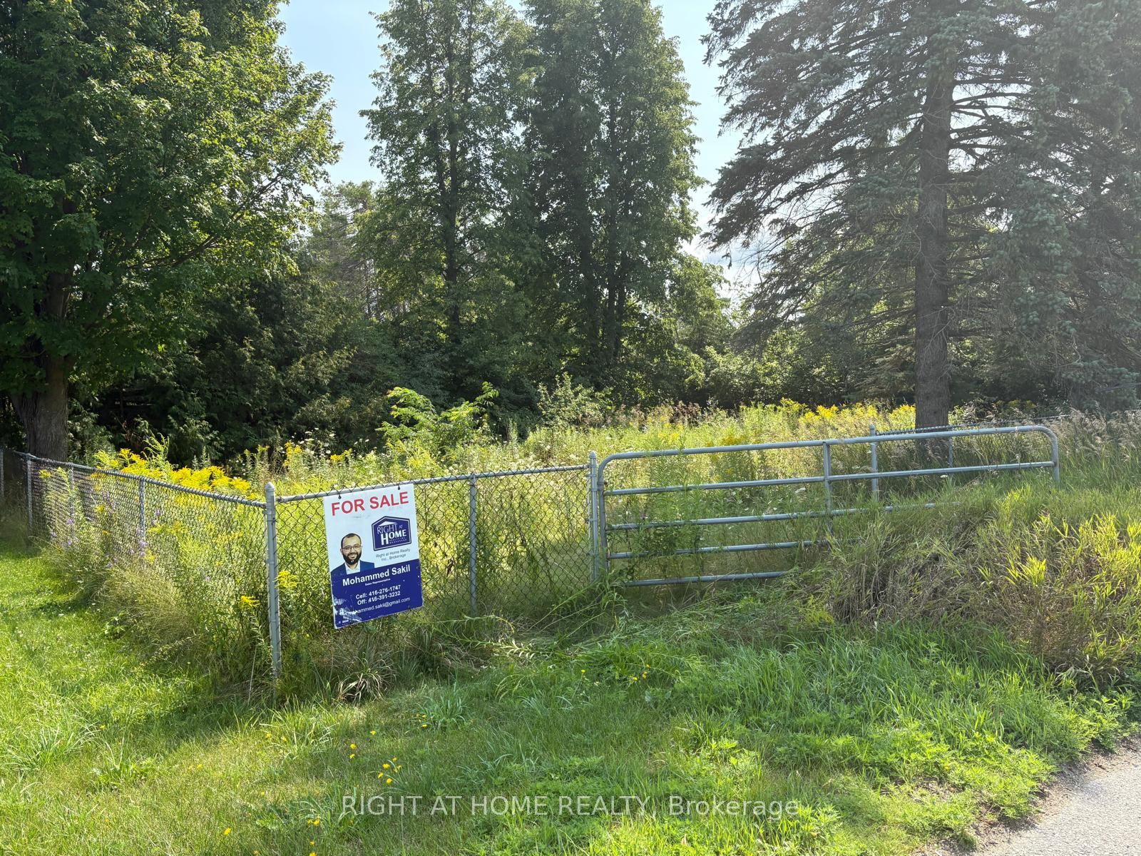 122 King Street W, Kawartha Lakes, ON K0L 2W0 photo 2