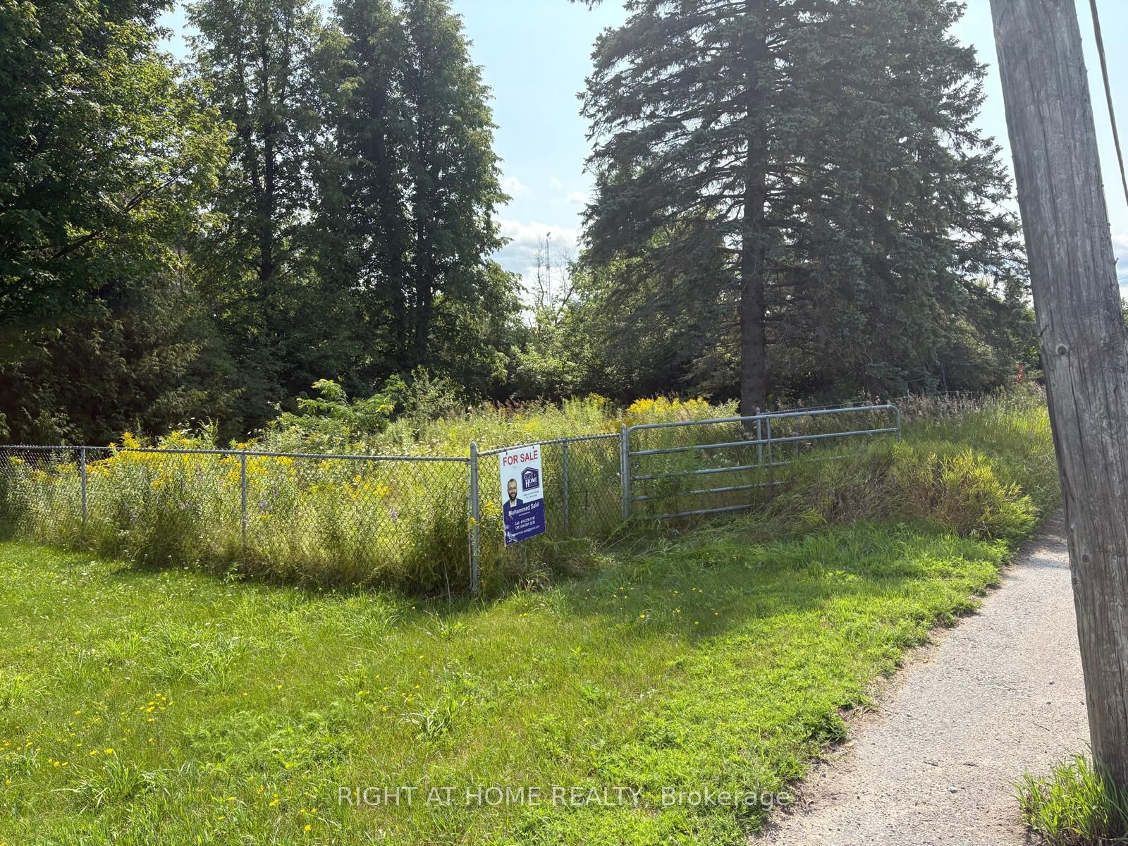 122 King Street W, Kawartha Lakes, ON K0L 2W0 photo 4