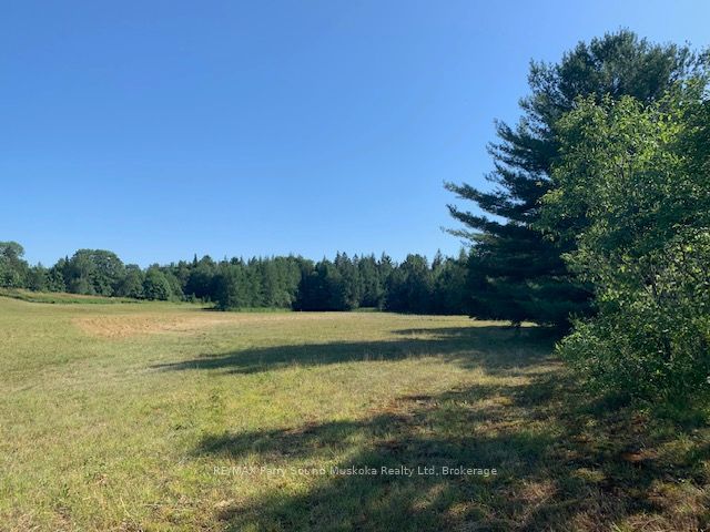 372 McDougall Road, McDougall, ON P2A 0B3 photo 5