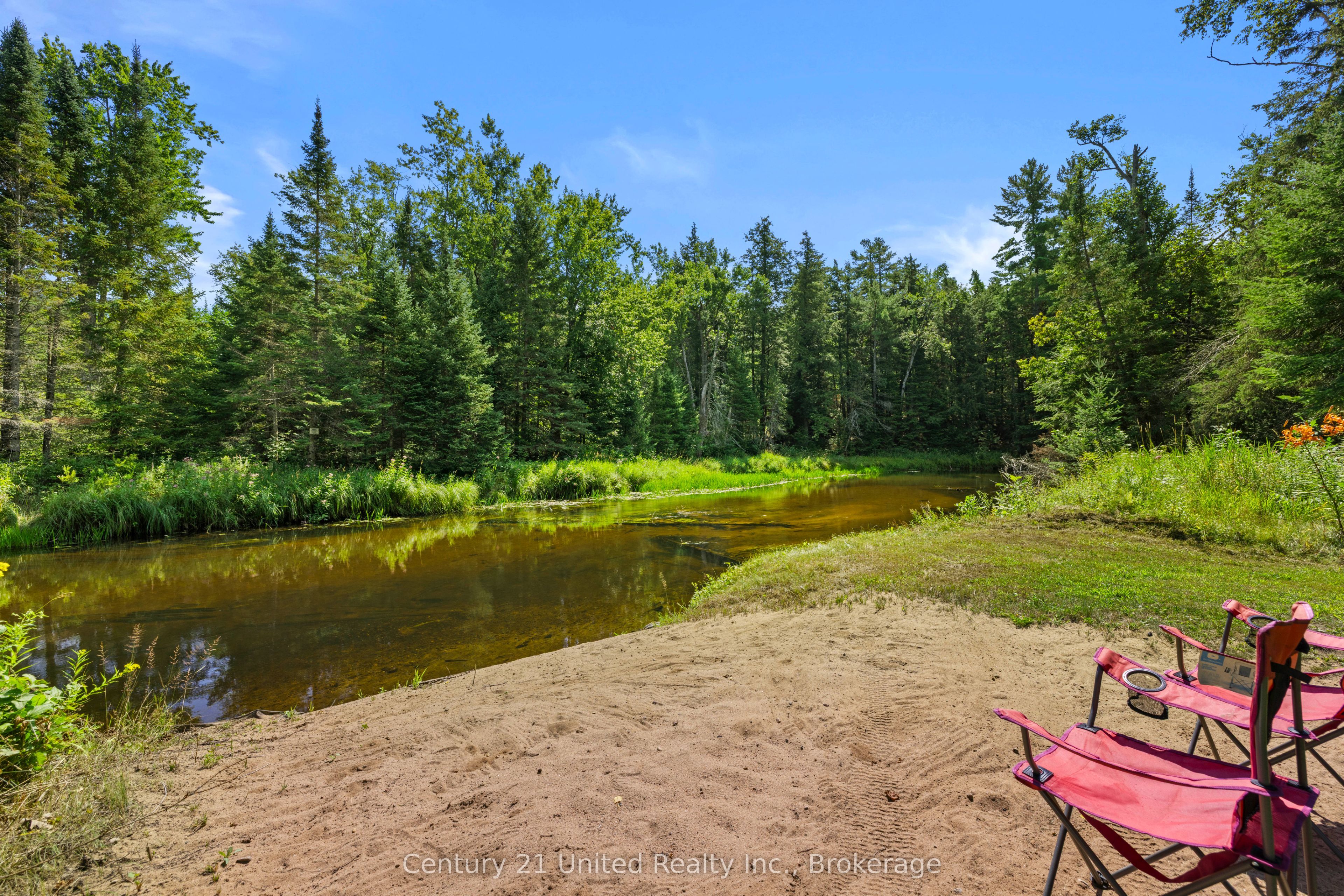9015 Highway 28, North Kawartha, ON K0L 1A0 photo 4