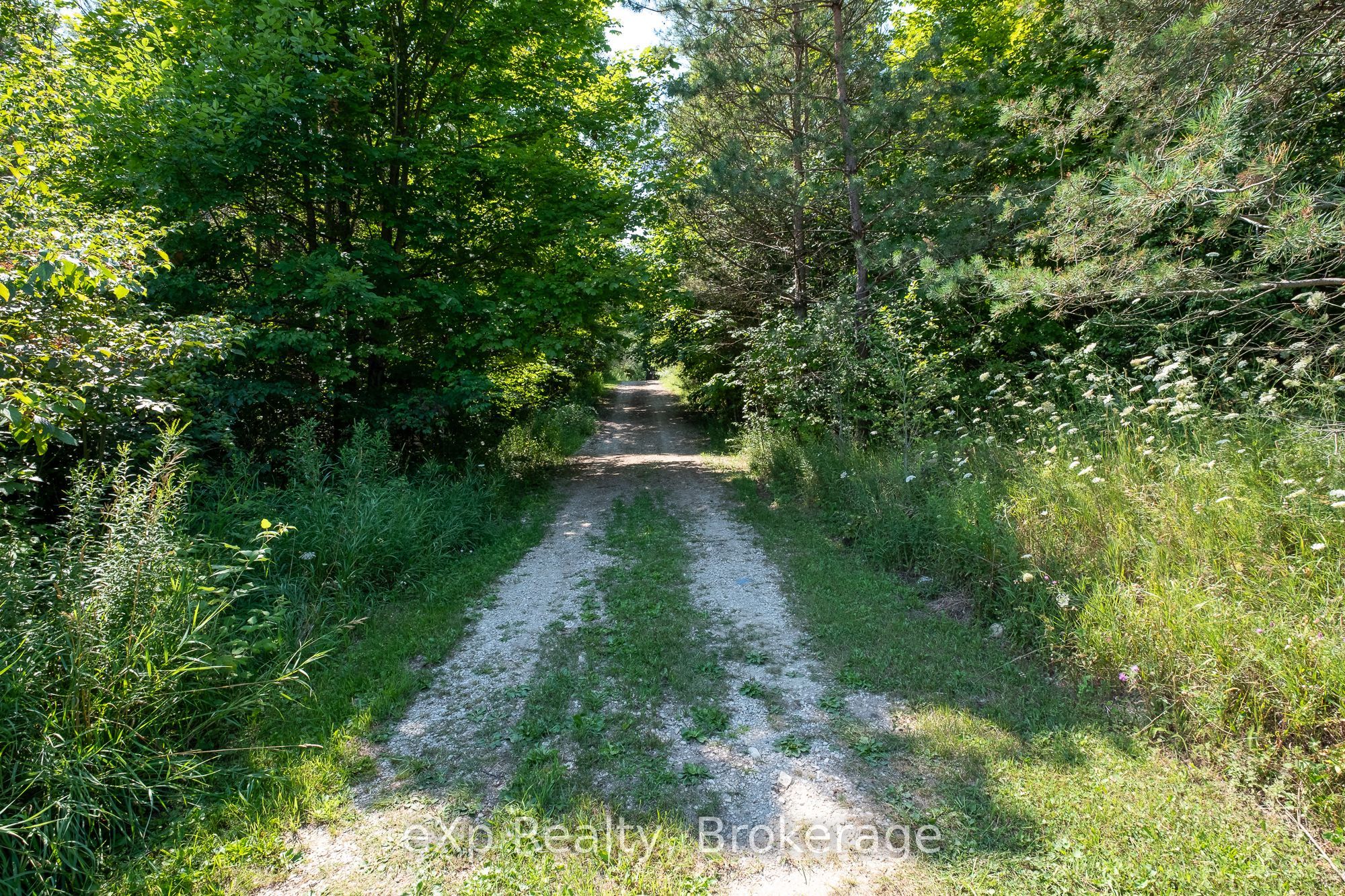 174745 Mulock Road, West Grey, ON N0G 1S0 photo 3