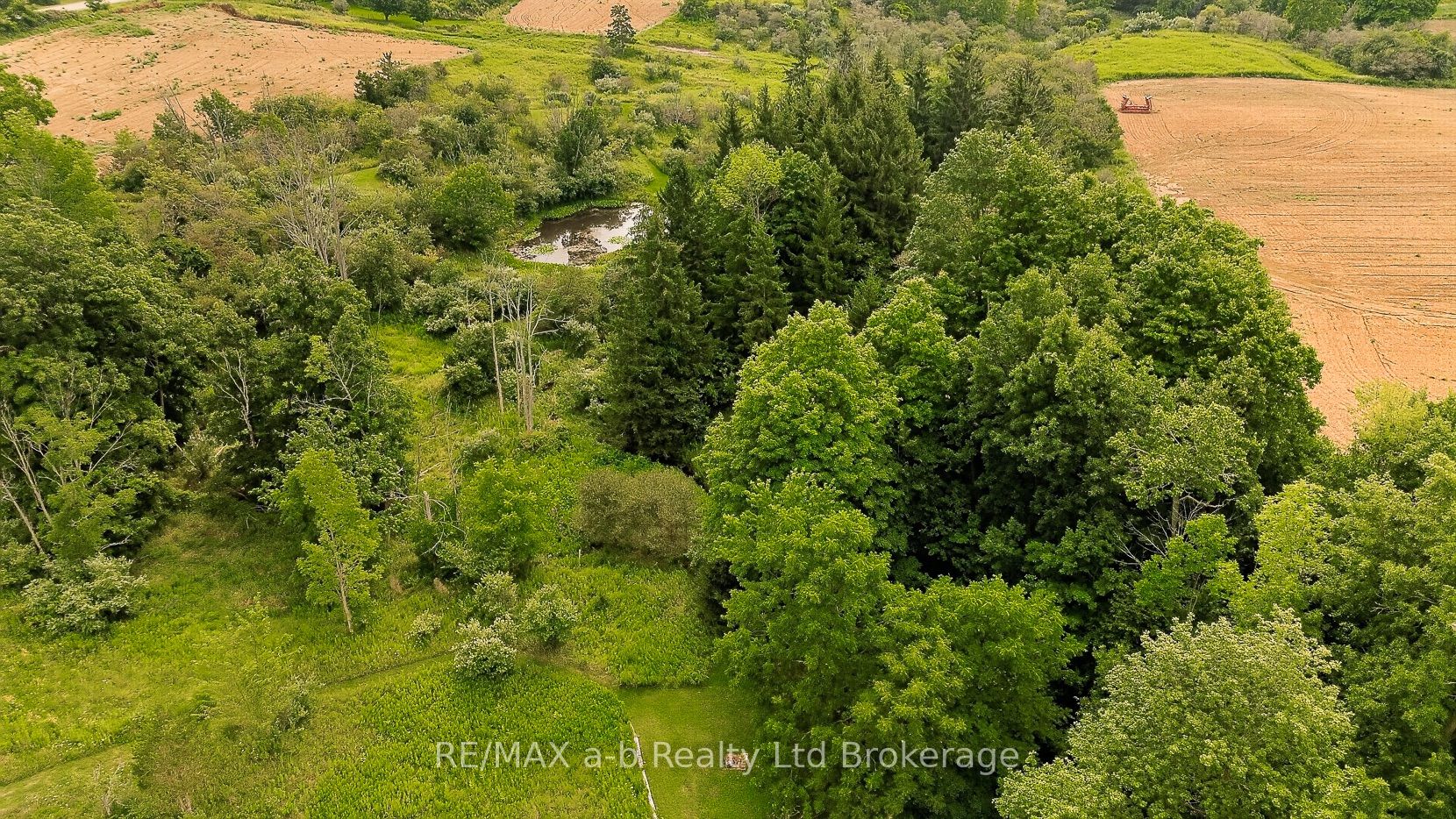 8827 Prince Street, Dutton/Dunwich, ON N0L 1P0 photo 4