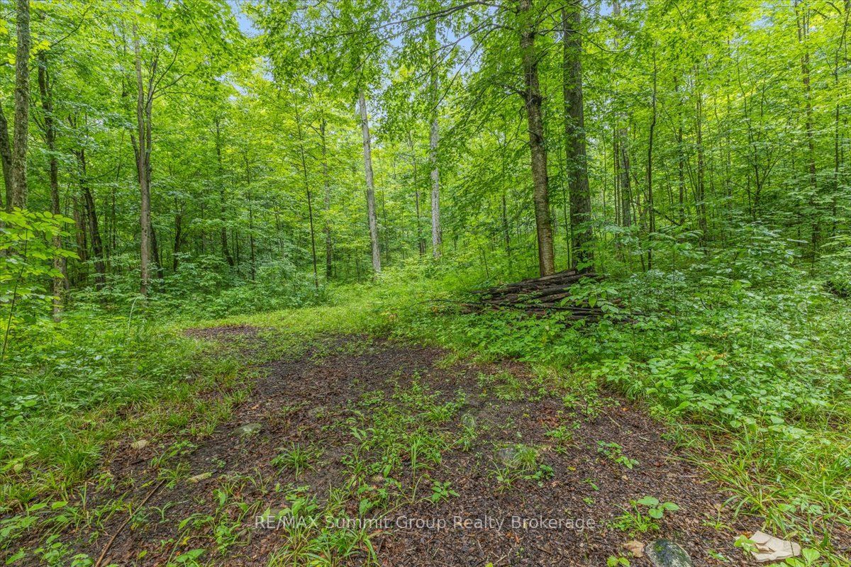 PT LT 4 Concession Road 8, West Grey, ON N0C 1H0 photo 4