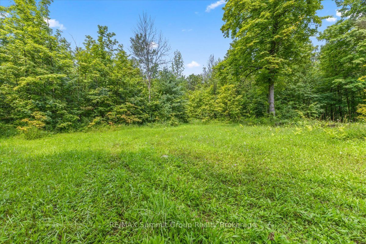 PT LT 4 Concession Road 8, West Grey, ON N0C 1H0 photo 5