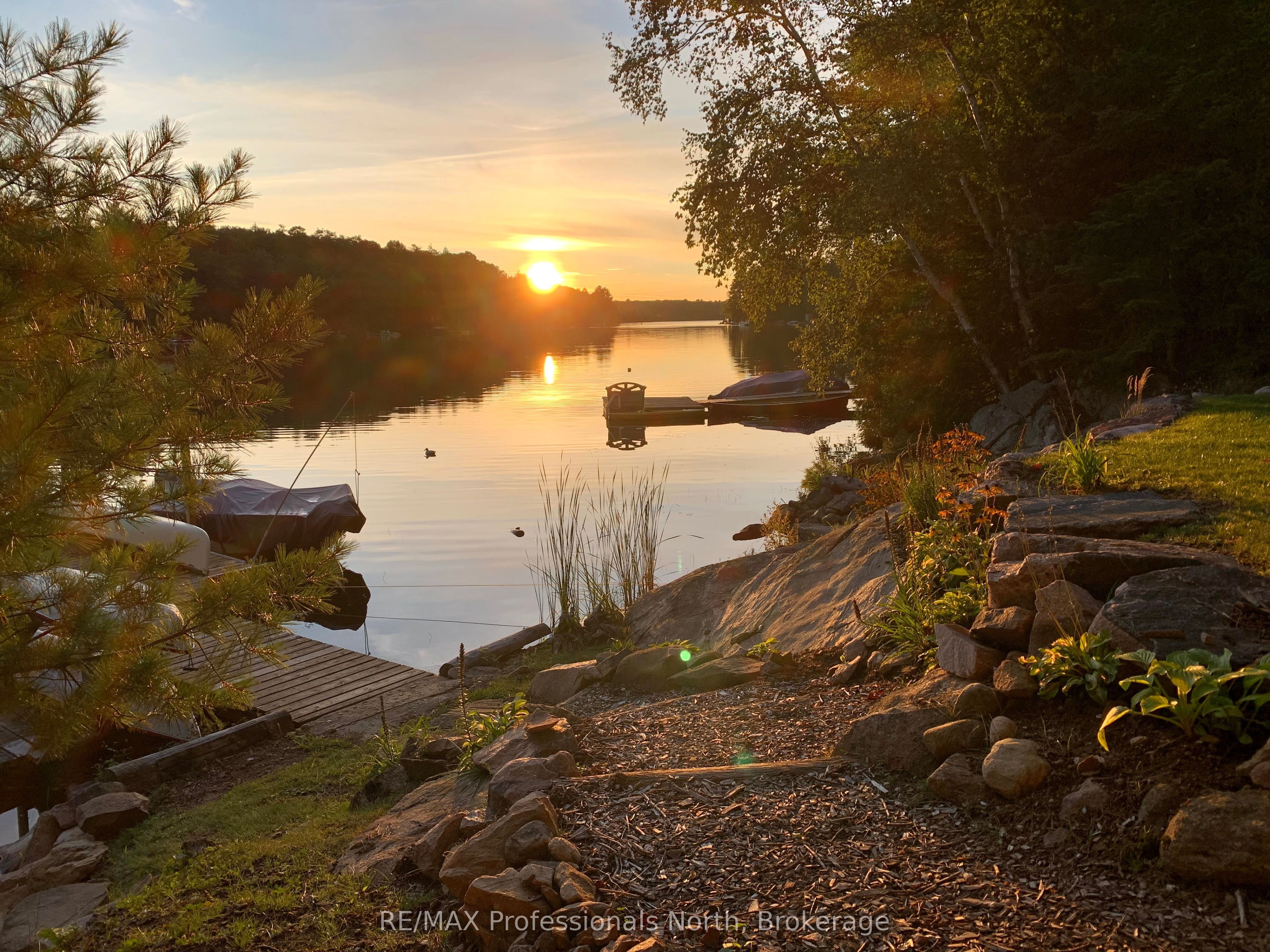 1333 Nestle Trail, Highlands East, ON K0M 1R0 photo 3