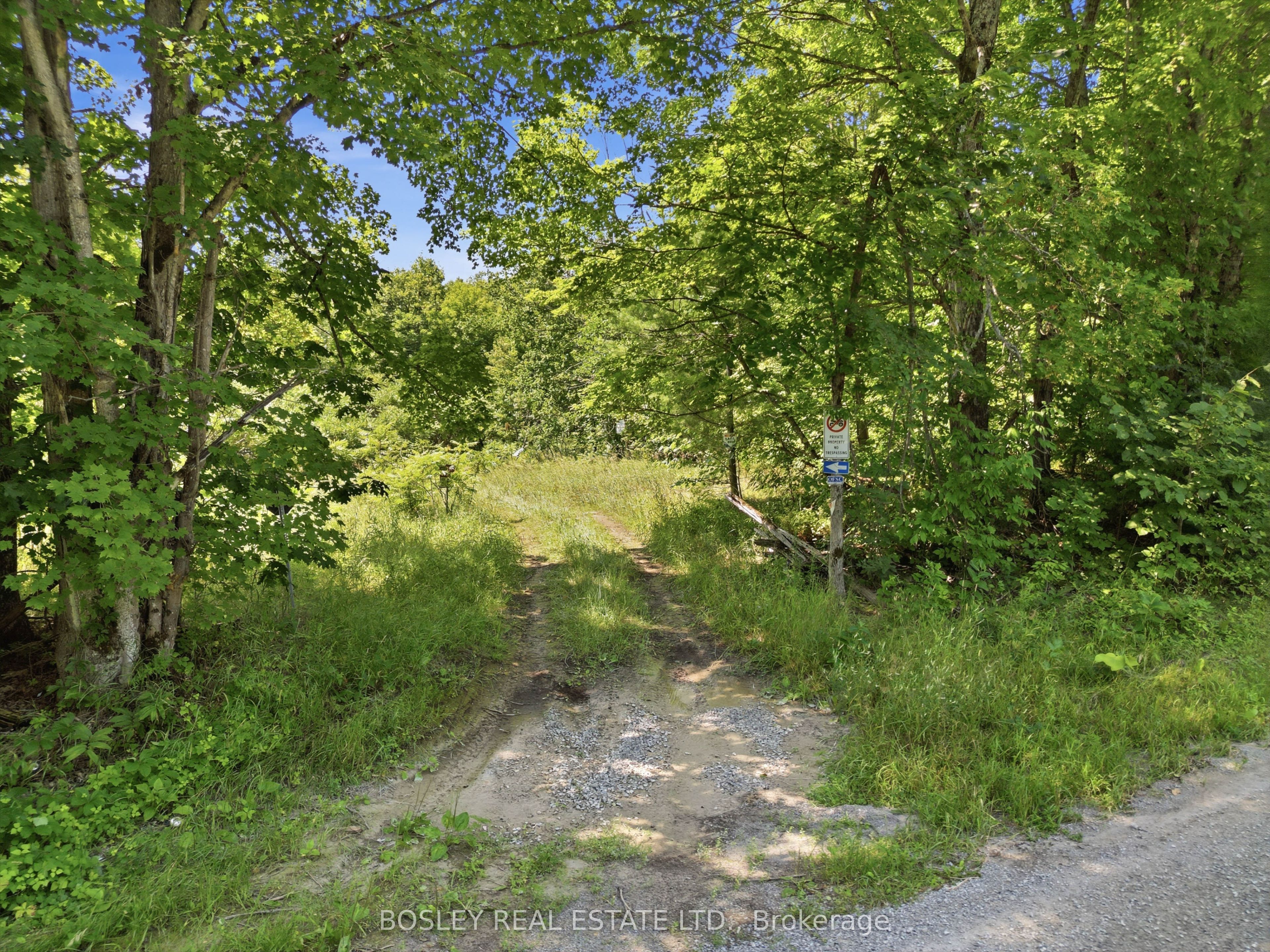 11 Buttermilk Lane, Marmora and Lake, ON K0K 2M0 photo 2