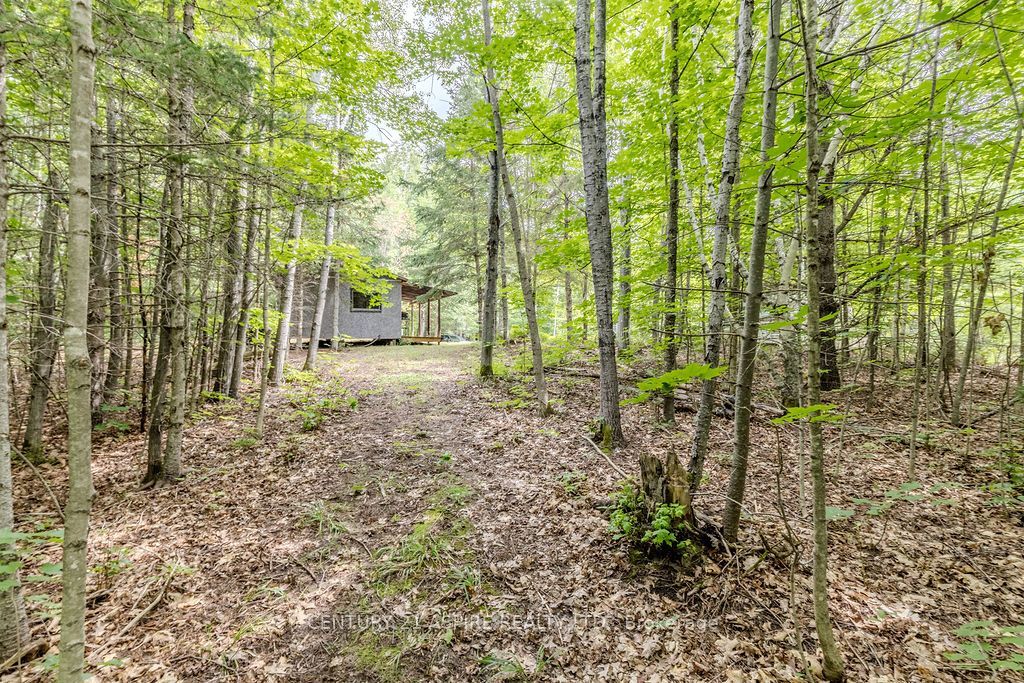 00 O'Brien Road, Bonnechere Valley, ON K0J 1T0 photo 5