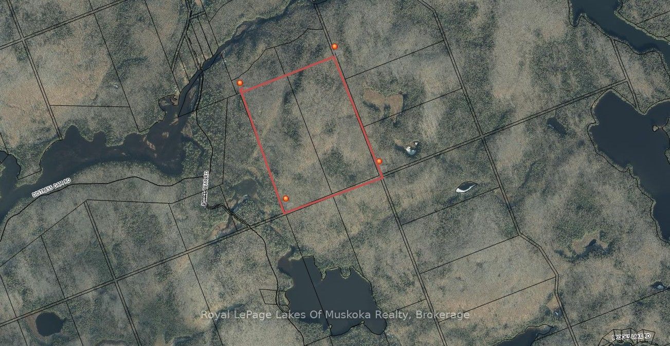 0 Billie Bear Road, Lake of Bays, ON P0A 1H0 photo 4