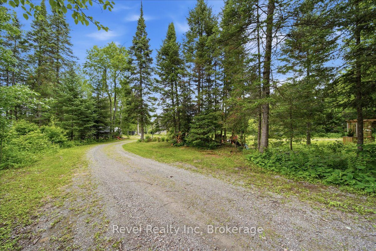 1100 Morning Glory Drive, Highlands East, ON K0M 1R0 photo 3
