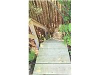 49 Huron Street S, Ashfield-Colborne-Wawanosh, ON N7A 3X9 photo 4