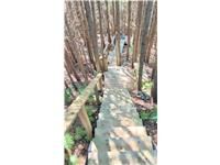 49 Huron Street S, Ashfield-Colborne-Wawanosh, ON N7A 3X9 photo 5