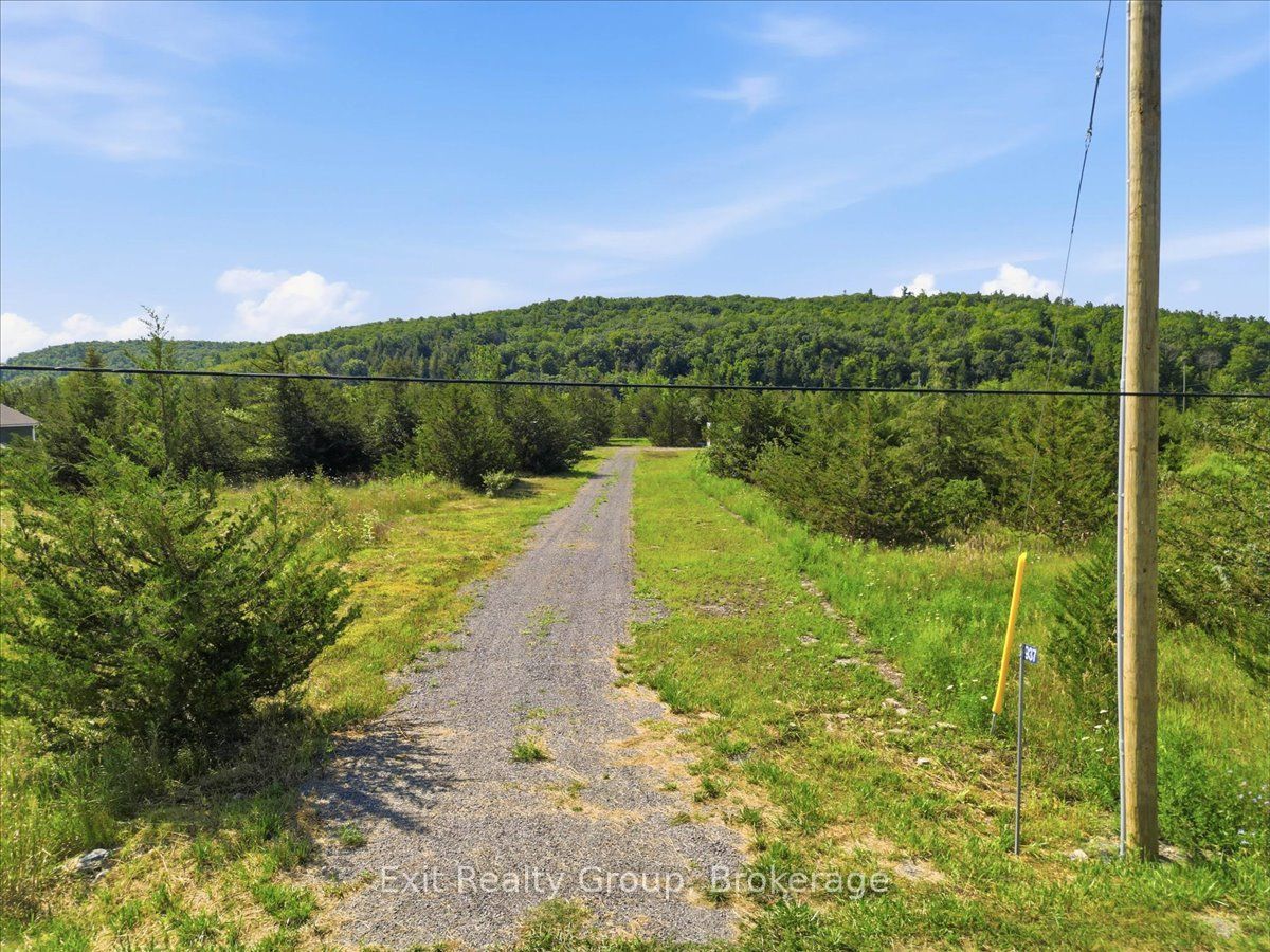 937 Rosebush Road, Quinte West, ON K0K 2C0 photo 3