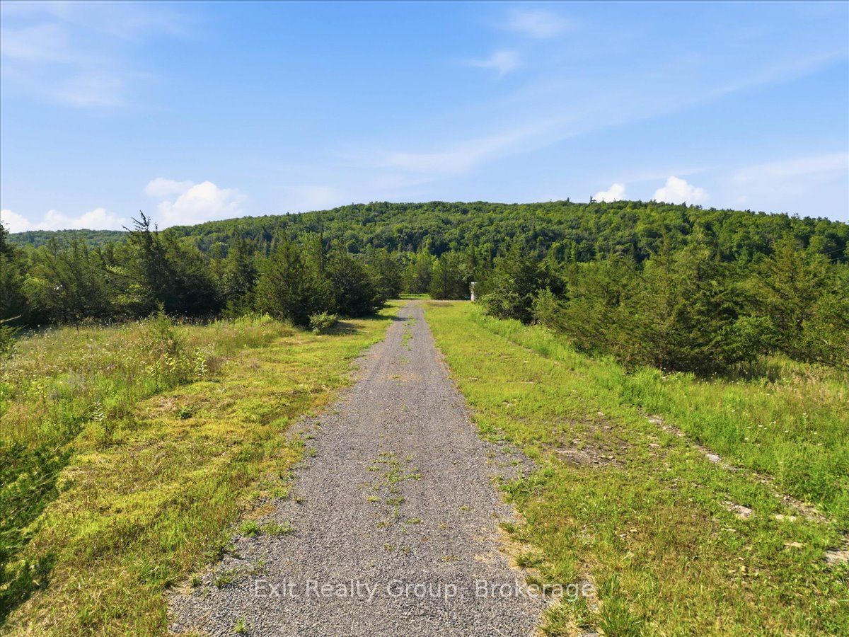 937 Rosebush Road, Quinte West, ON K0K 2C0 photo 4