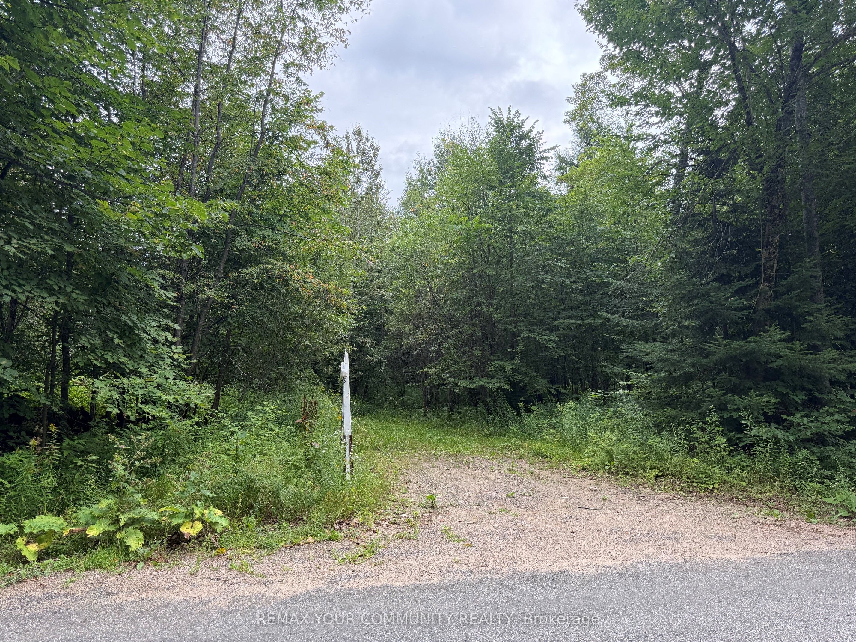 TBD McPhail Road, Algonquin Highlands, ON K0M 1S0 photo 4