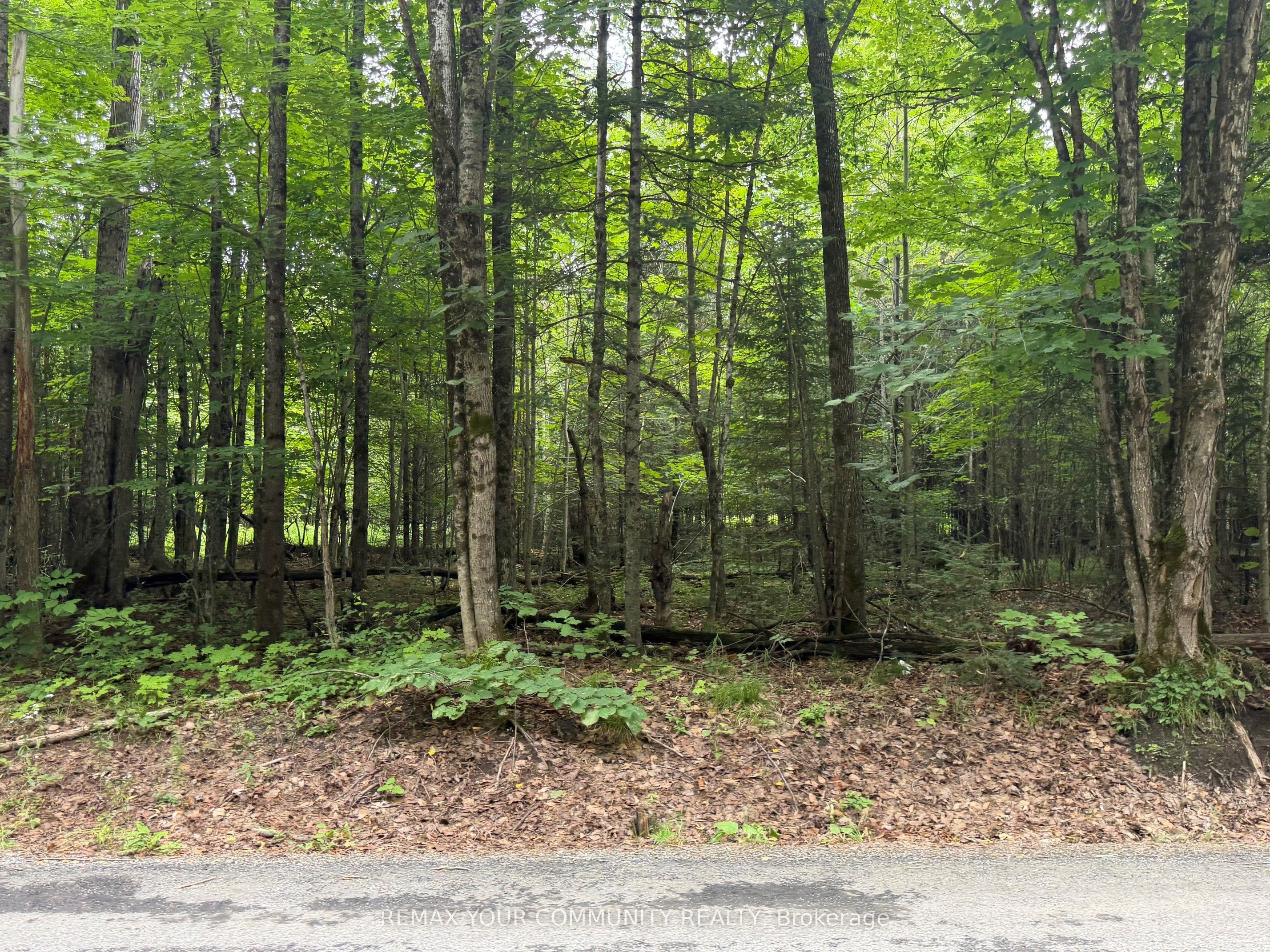 TBD McPhail Road, Algonquin Highlands, ON K0M 1S0 photo 5