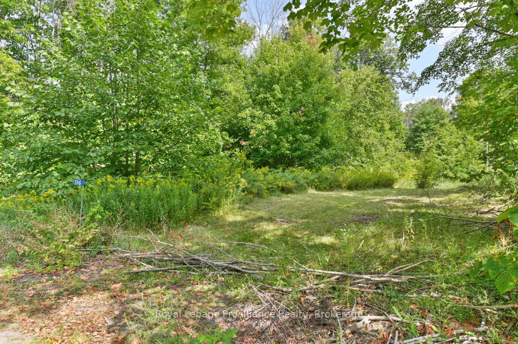 316 High Shore Road, Marmora and Lake, ON K0K 2M0 photo 3