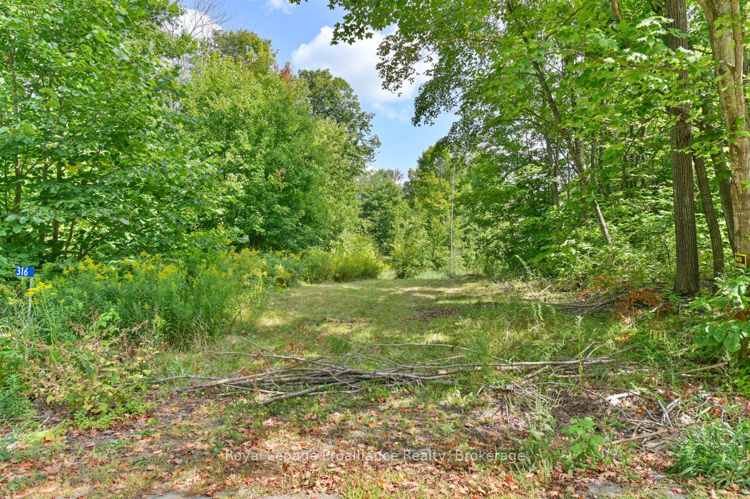 316 High Shore Road, Marmora and Lake, ON K0K 2M0 photo 4