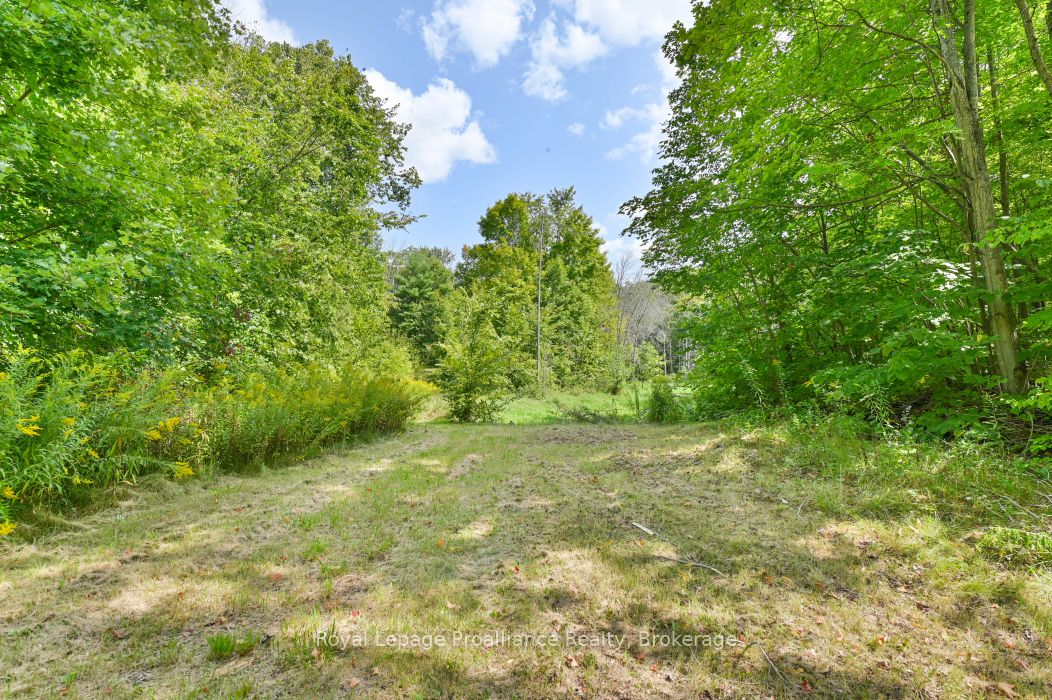 316 High Shore Road, Marmora and Lake, ON K0K 2M0 photo 5