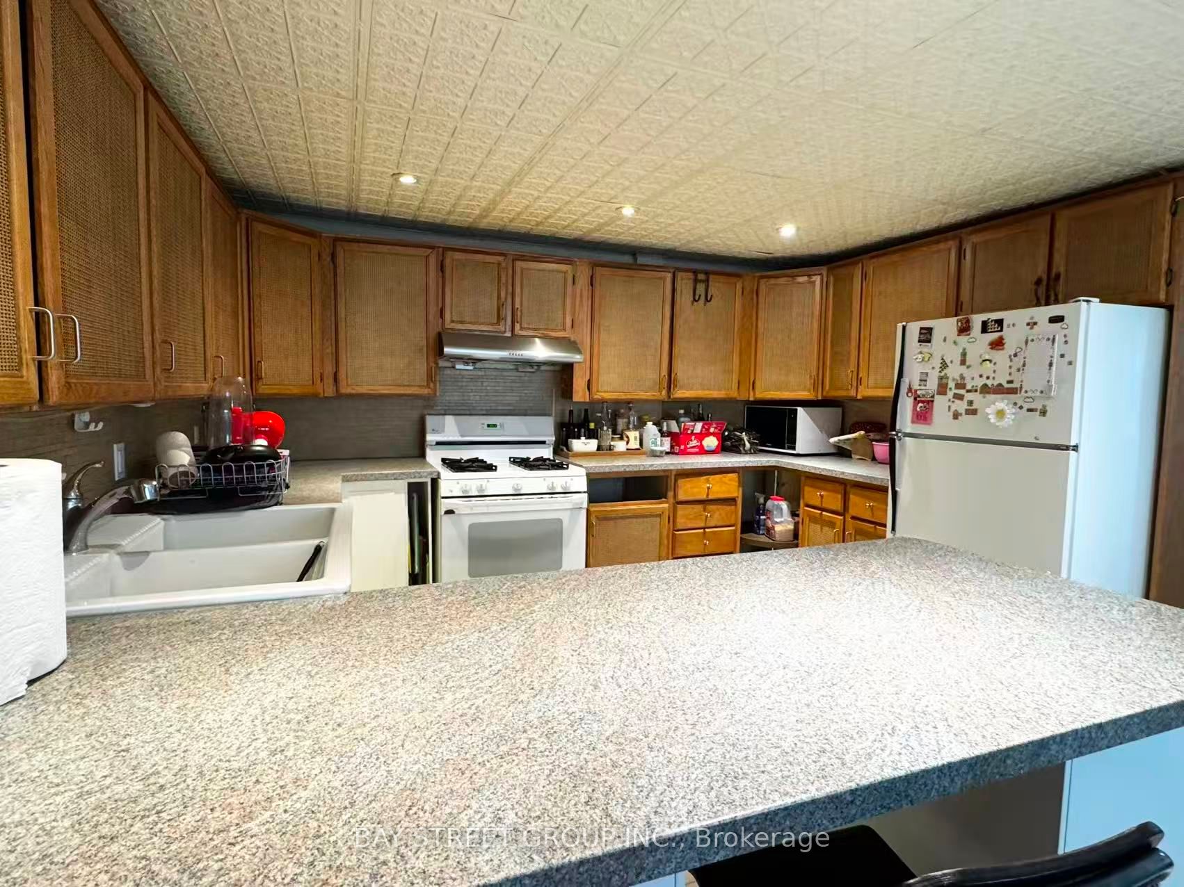 280 ST ANDREW Street, Lower Town - Sandy Hill, ON K1N 5G7 photo 4