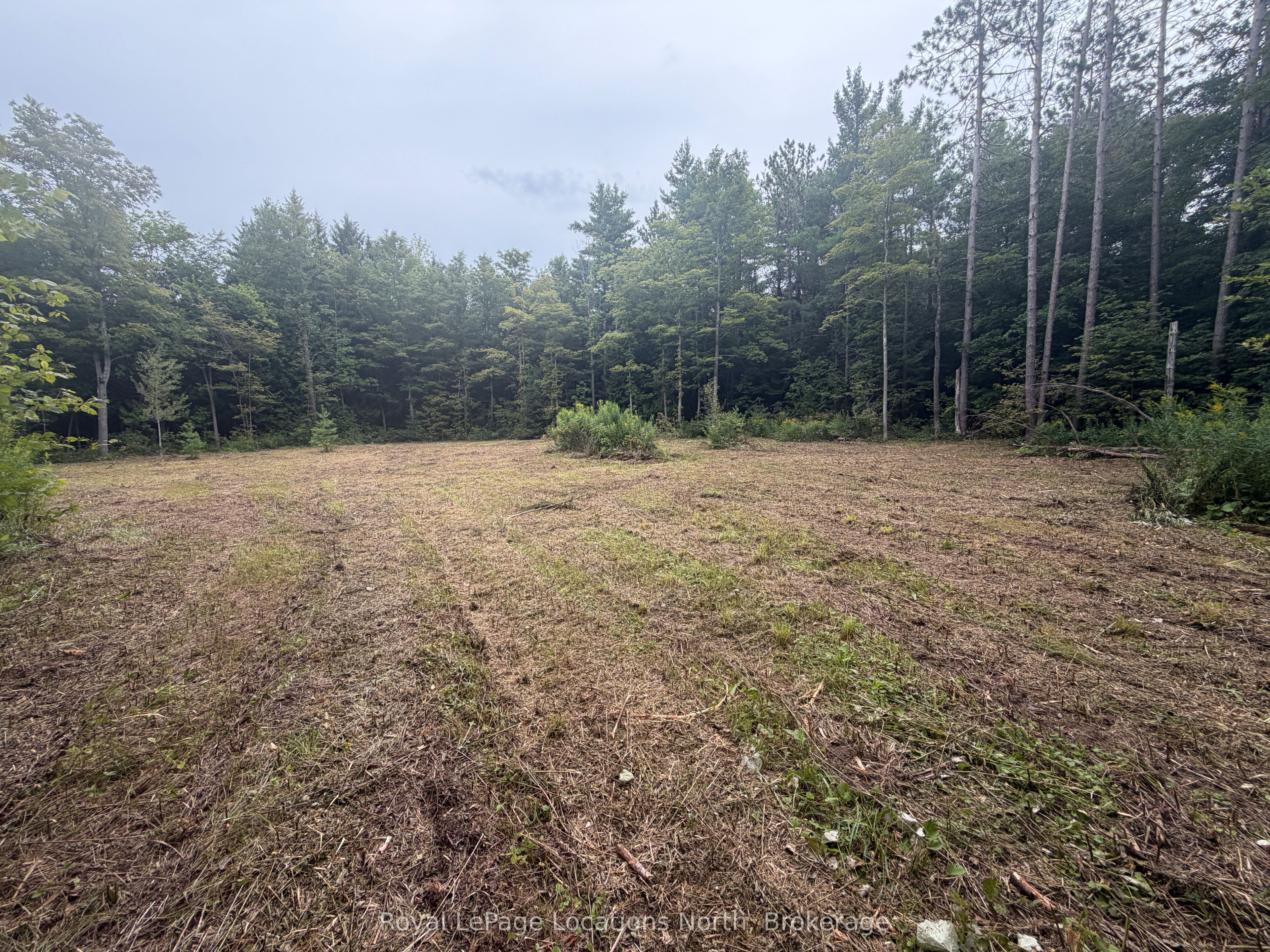 Pt Lot 4, Con 6 6th Line, Blue Mountains, ON N0H 2E0 photo 2