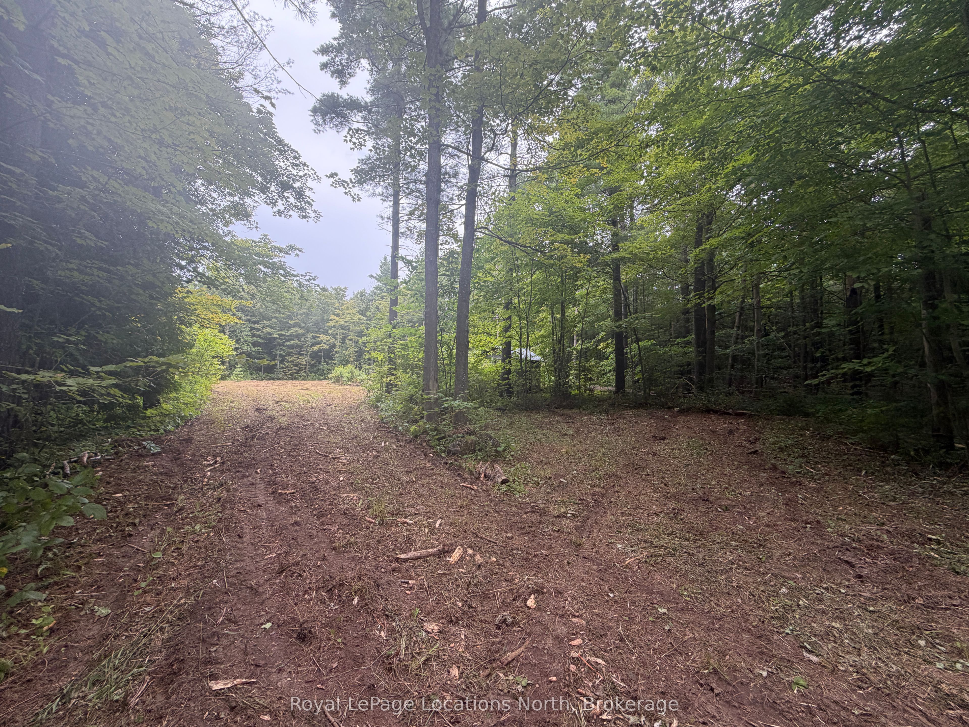 Pt Lot 4, Con 6 6th Line, Blue Mountains, ON N0H 2E0 photo 3