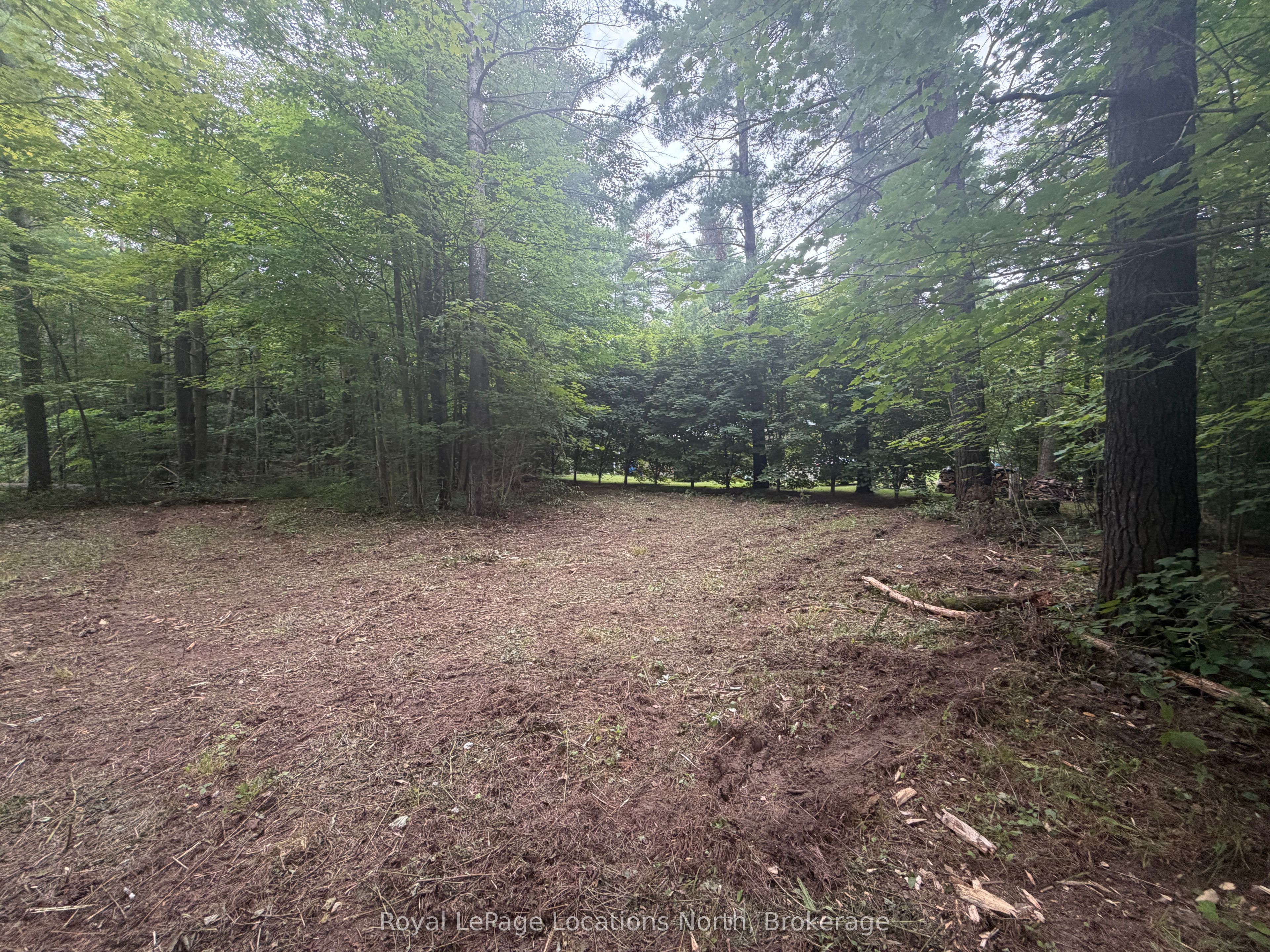 Pt Lot 4, Con 6 6th Line, Blue Mountains, ON N0H 2E0 photo 4