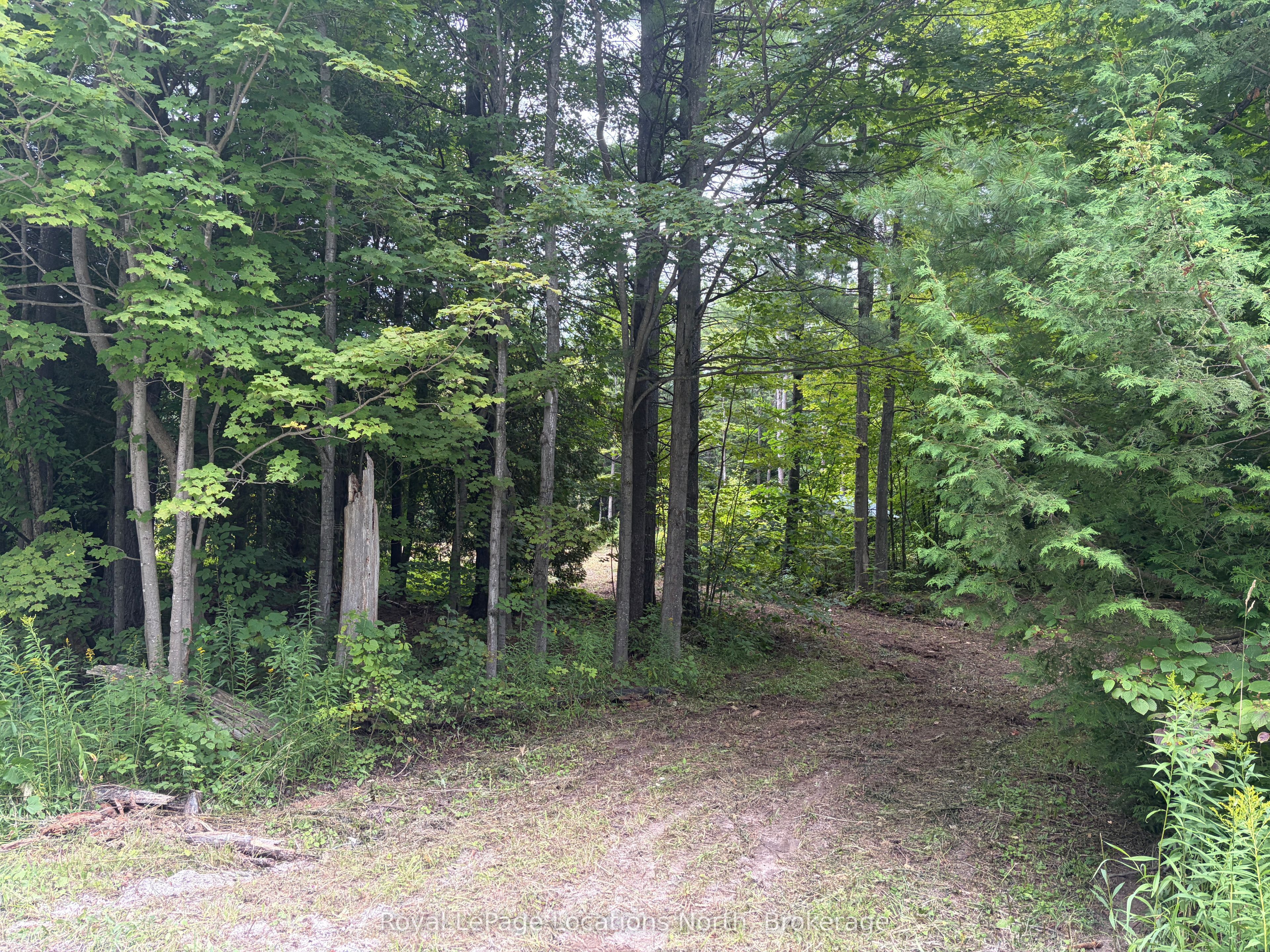 Pt Lot 4, Con 6 6th Line, Blue Mountains, ON N0H 2E0 photo 5