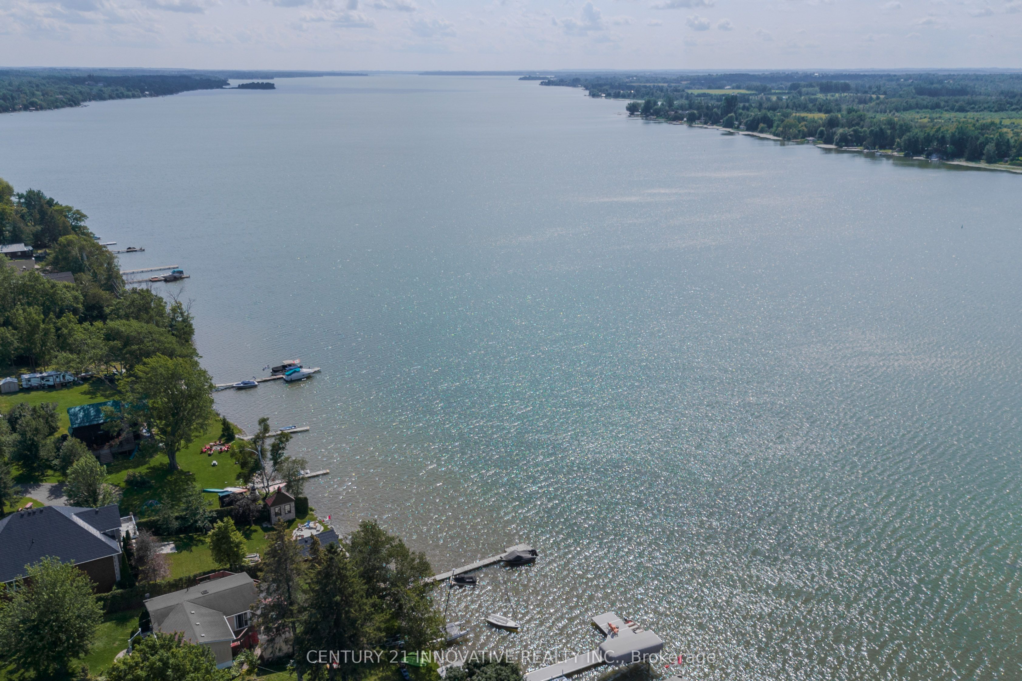 73 Loon Street, Kawartha Lakes, ON L0B 1K0 photo 4