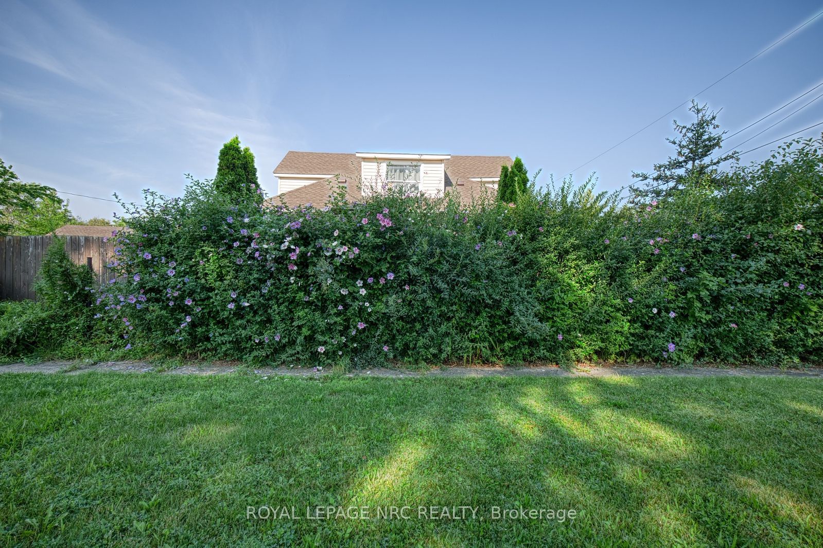 242 Henrietta Street, Fort Erie, ON L2A 2K7 photo 3