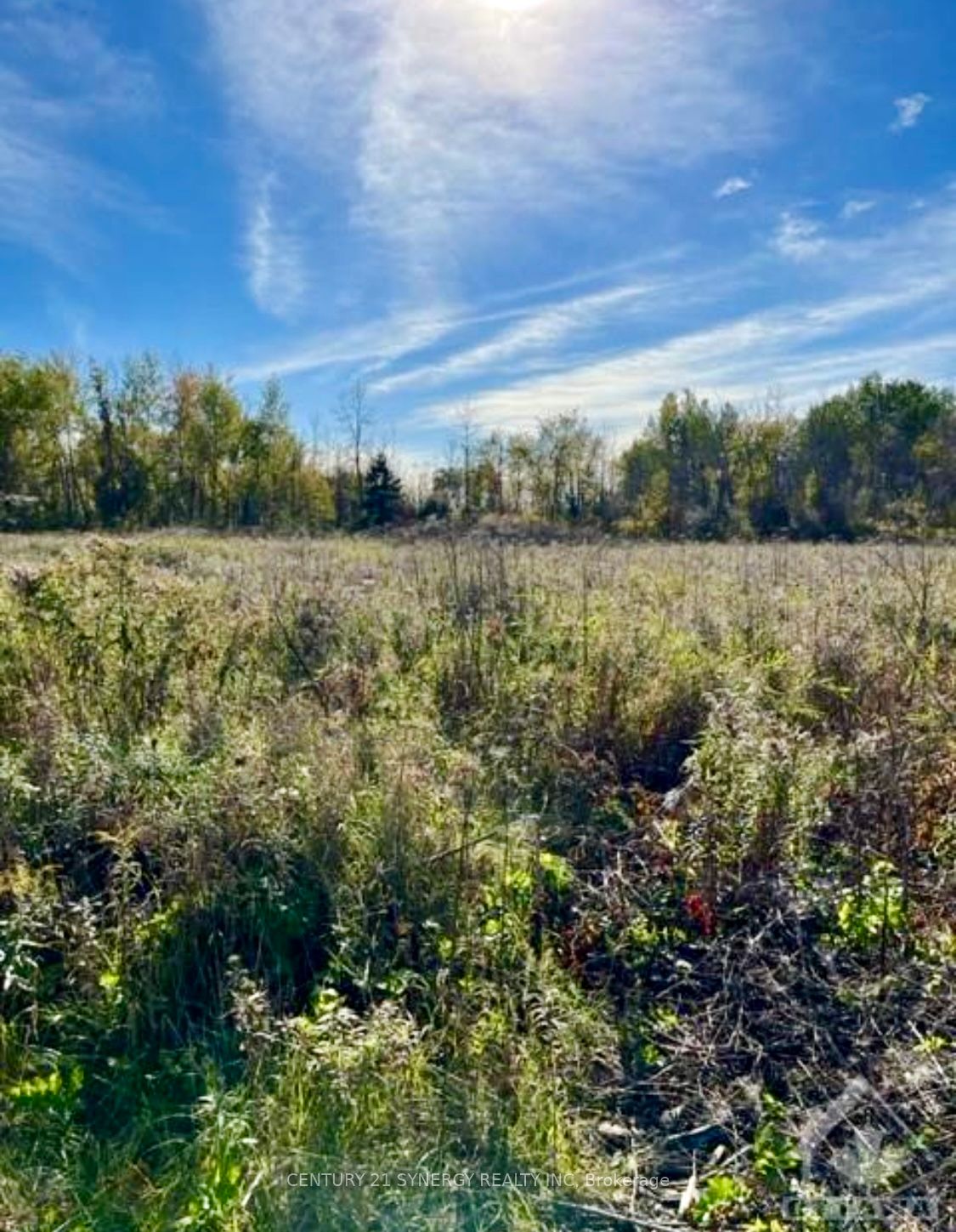 26 HONEY BEE Grove, Stittsville - Munster - Richmond, ON K0A 2Z0