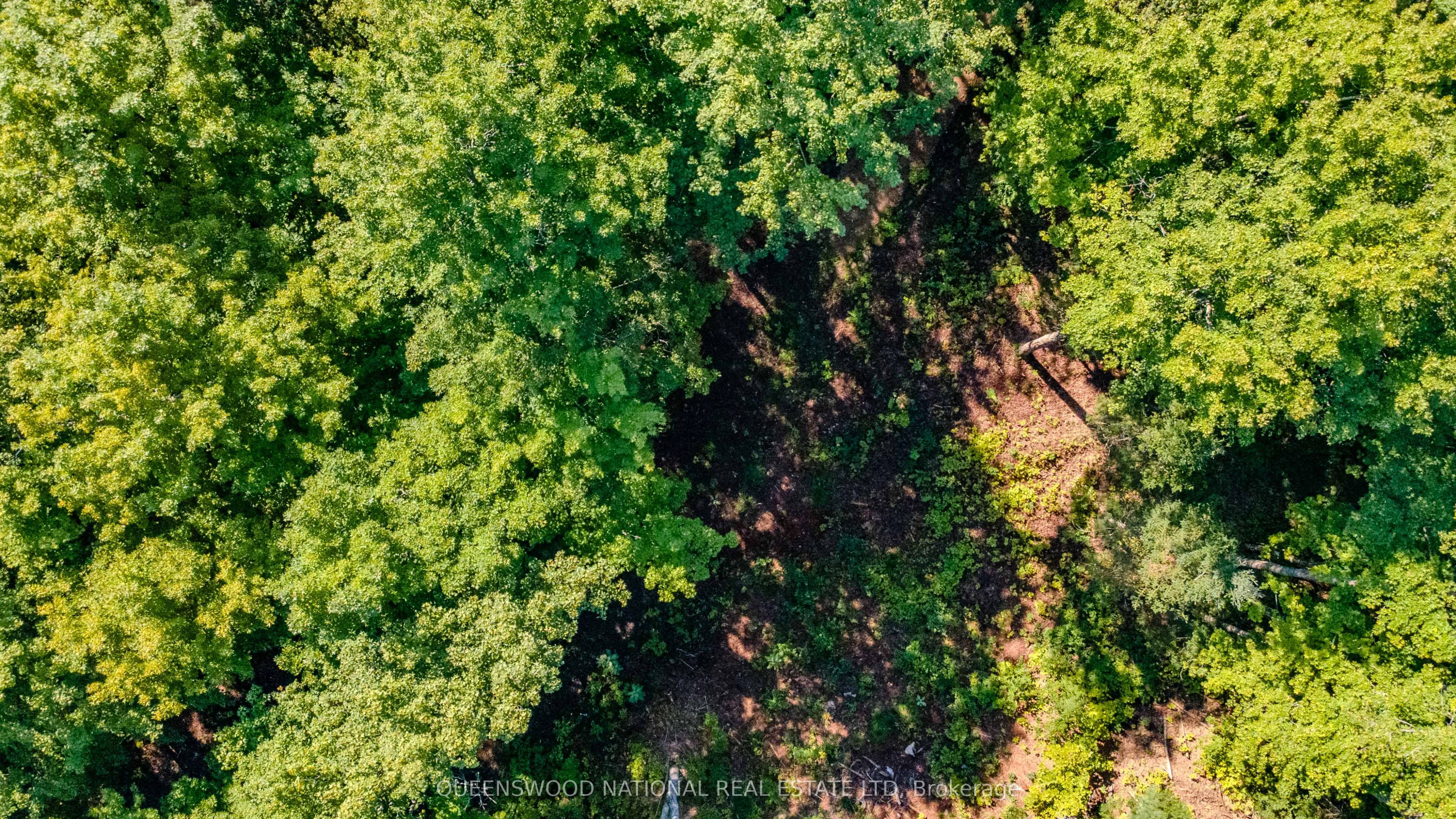 688 Prince Road E, Madawaska Valley, ON K0J 2N0 photo 3