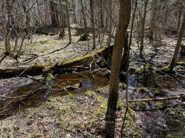 688 Prince Road E, Madawaska Valley, ON K0J 2N0 photo 5