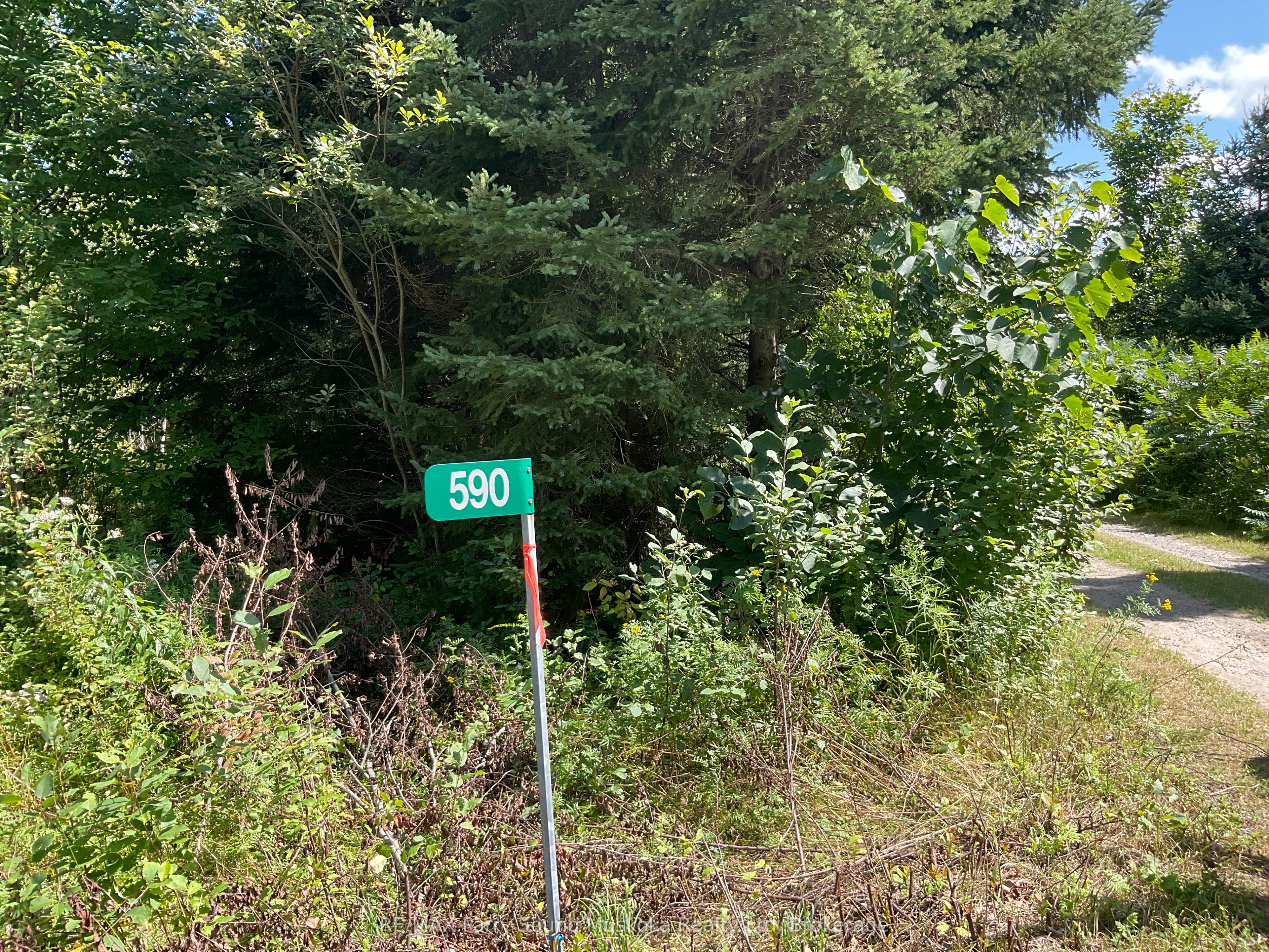 590 Clear Lake Road, Parry Sound Remote Area, ON P0H 1A0 photo 2