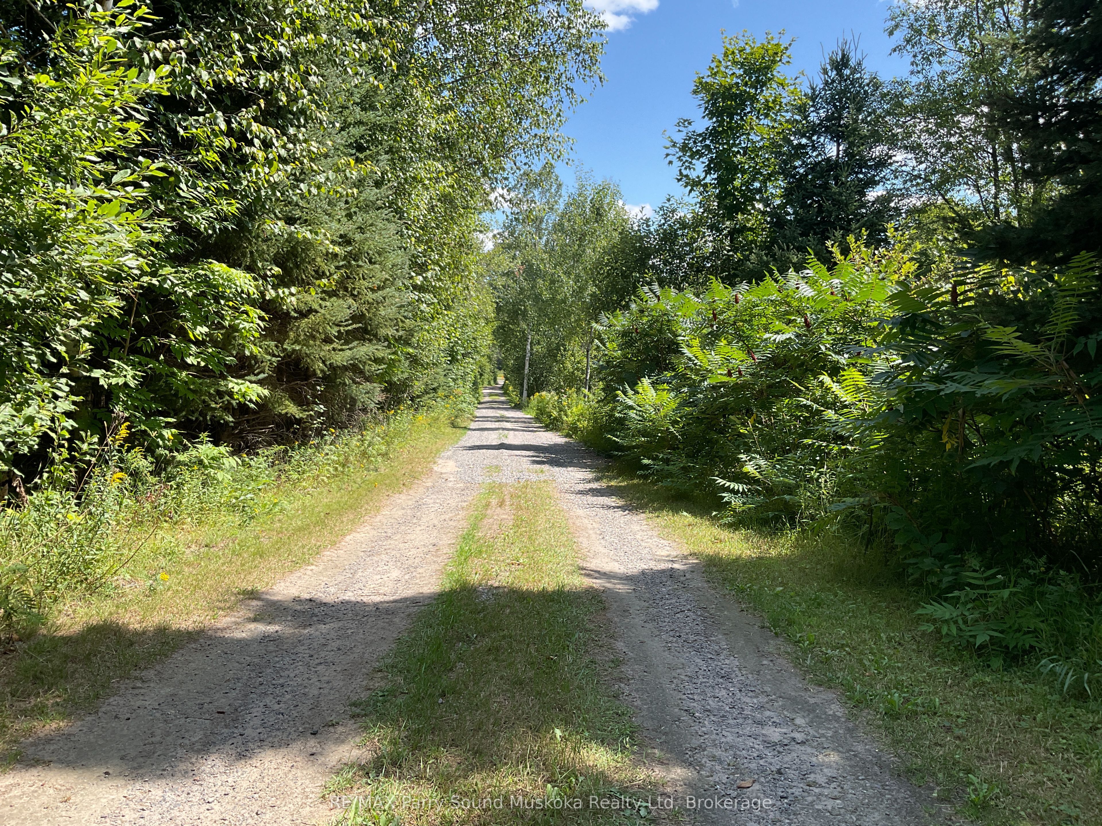 590 Clear Lake Road, Parry Sound Remote Area, ON P0H 1A0 photo 3